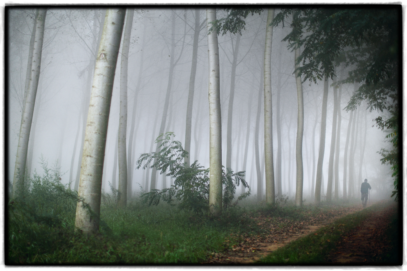 attraverso il mio paere