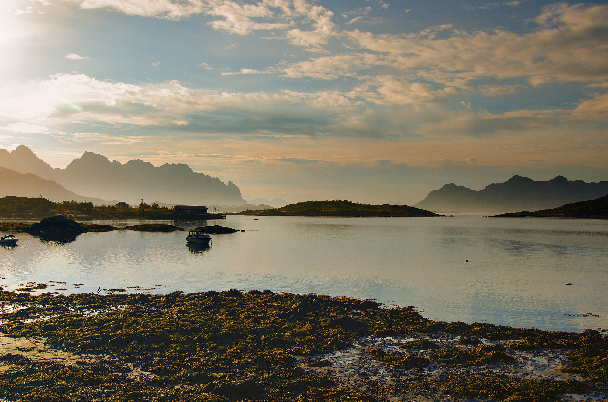 Lofoten