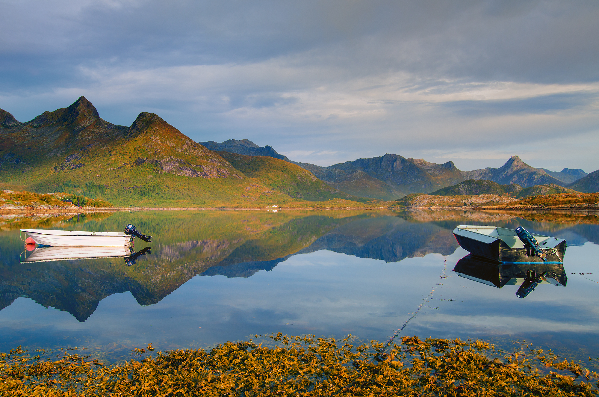 Lofoten