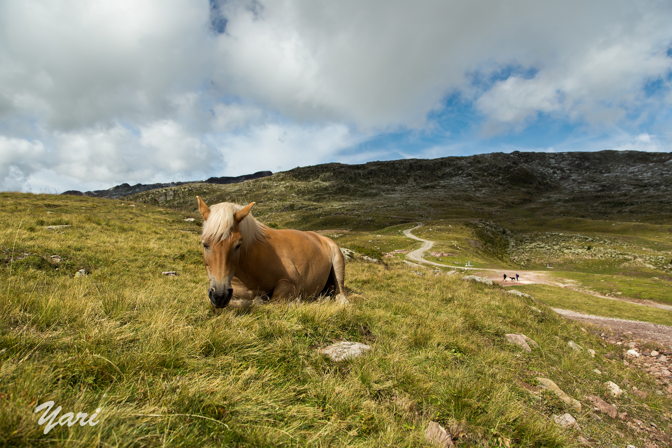 Dolomites, dir. Col Margherita ref. Laresei