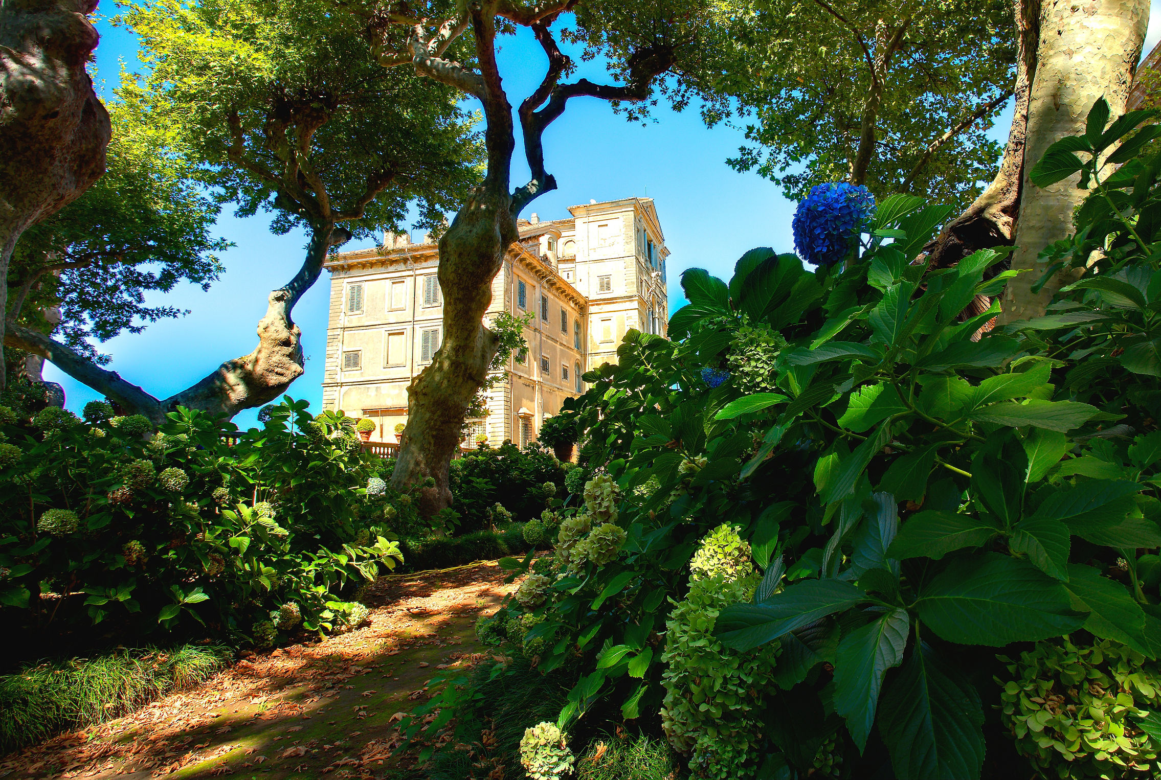 Giardino di Ortensie - Villa Aldobrandini Frascati