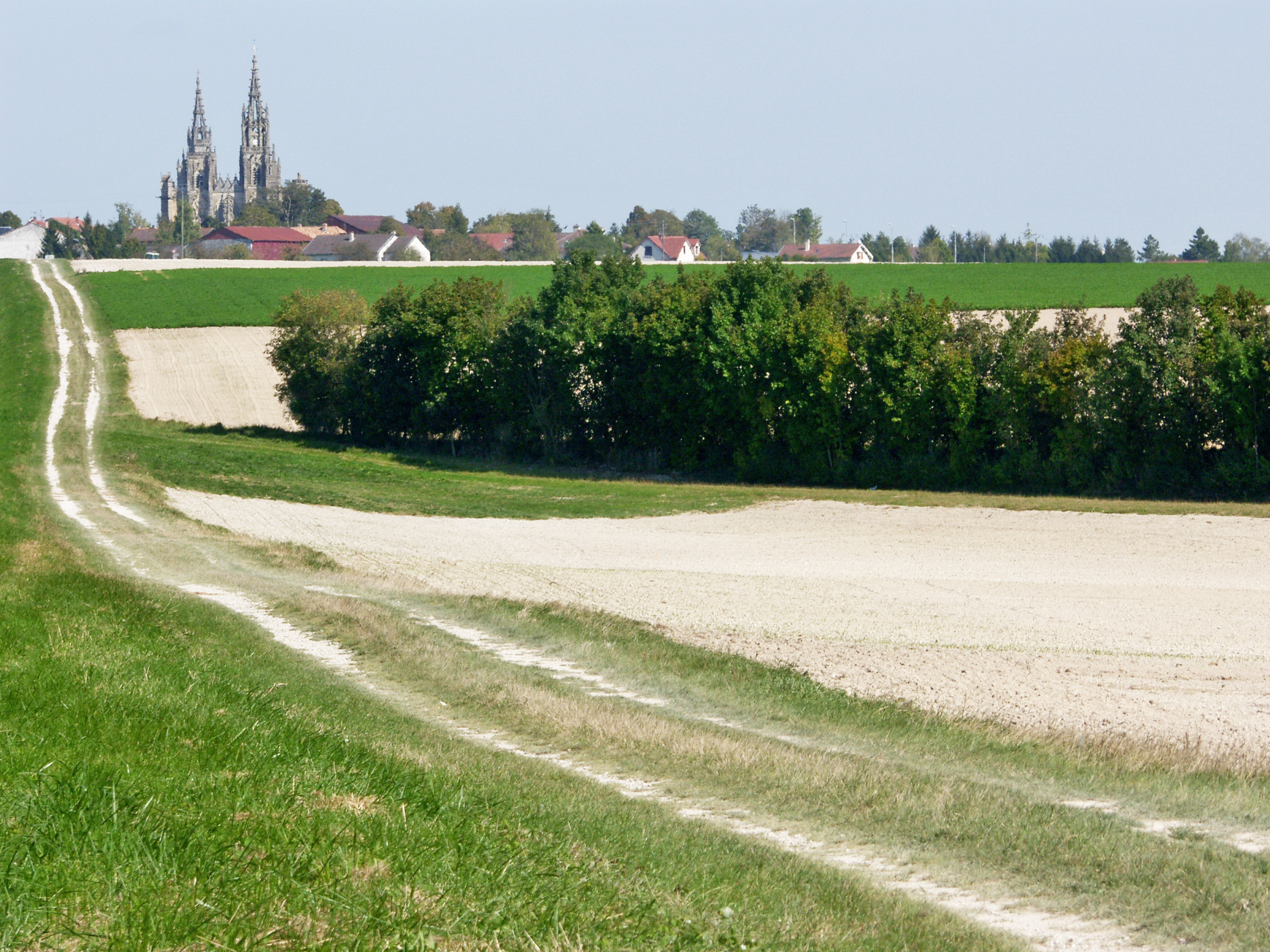 Verso la Cattedrale - Champagne
