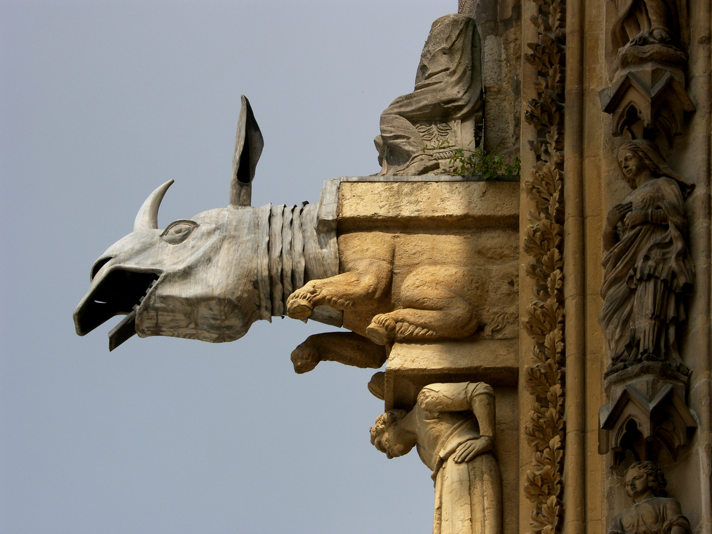 Il doccione -Champagne