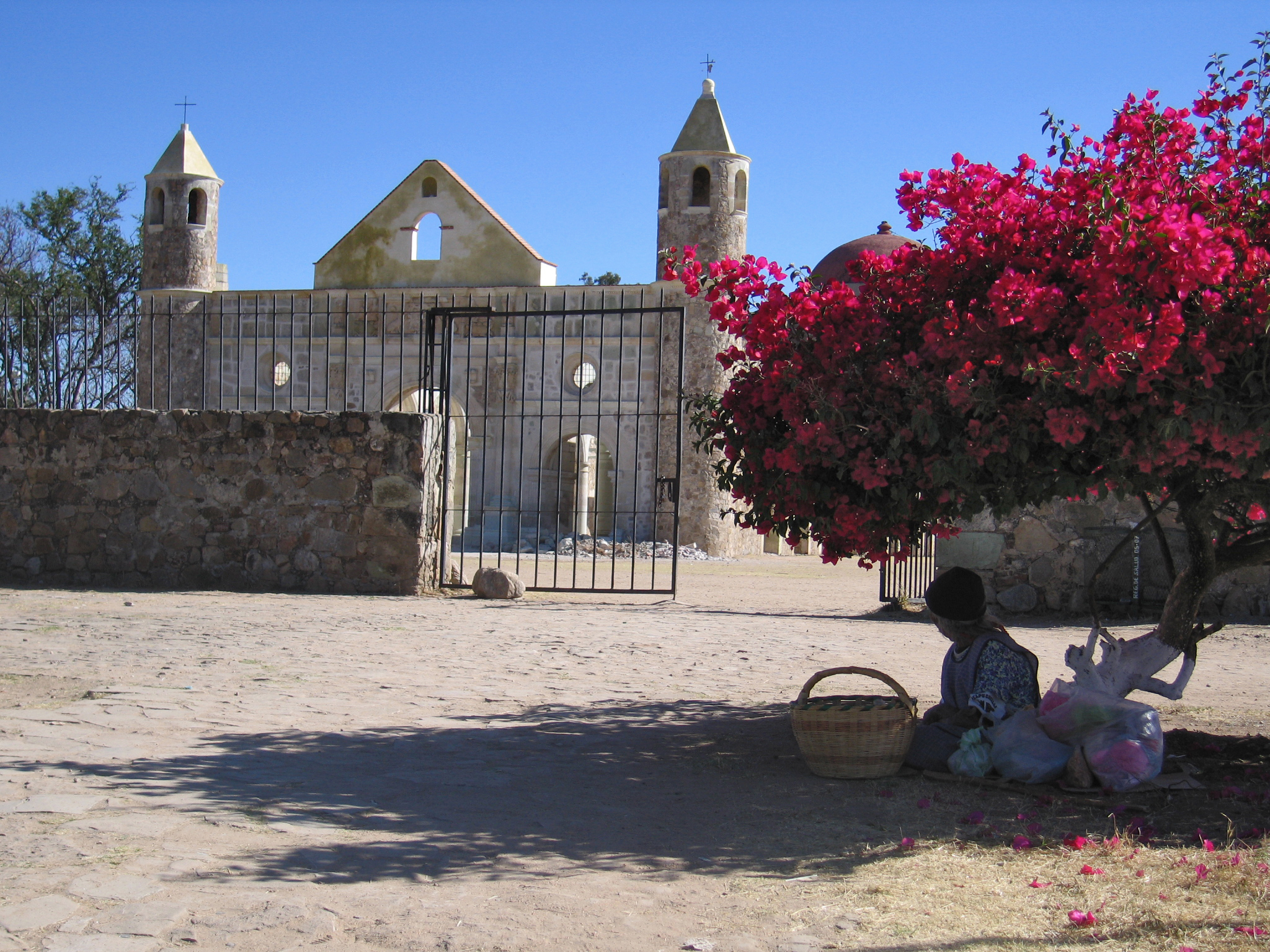 All'ombra dell'azalea