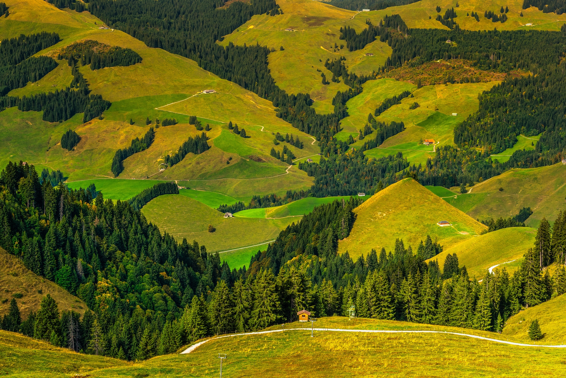 Fribourg - Charmey - View from Vounetz