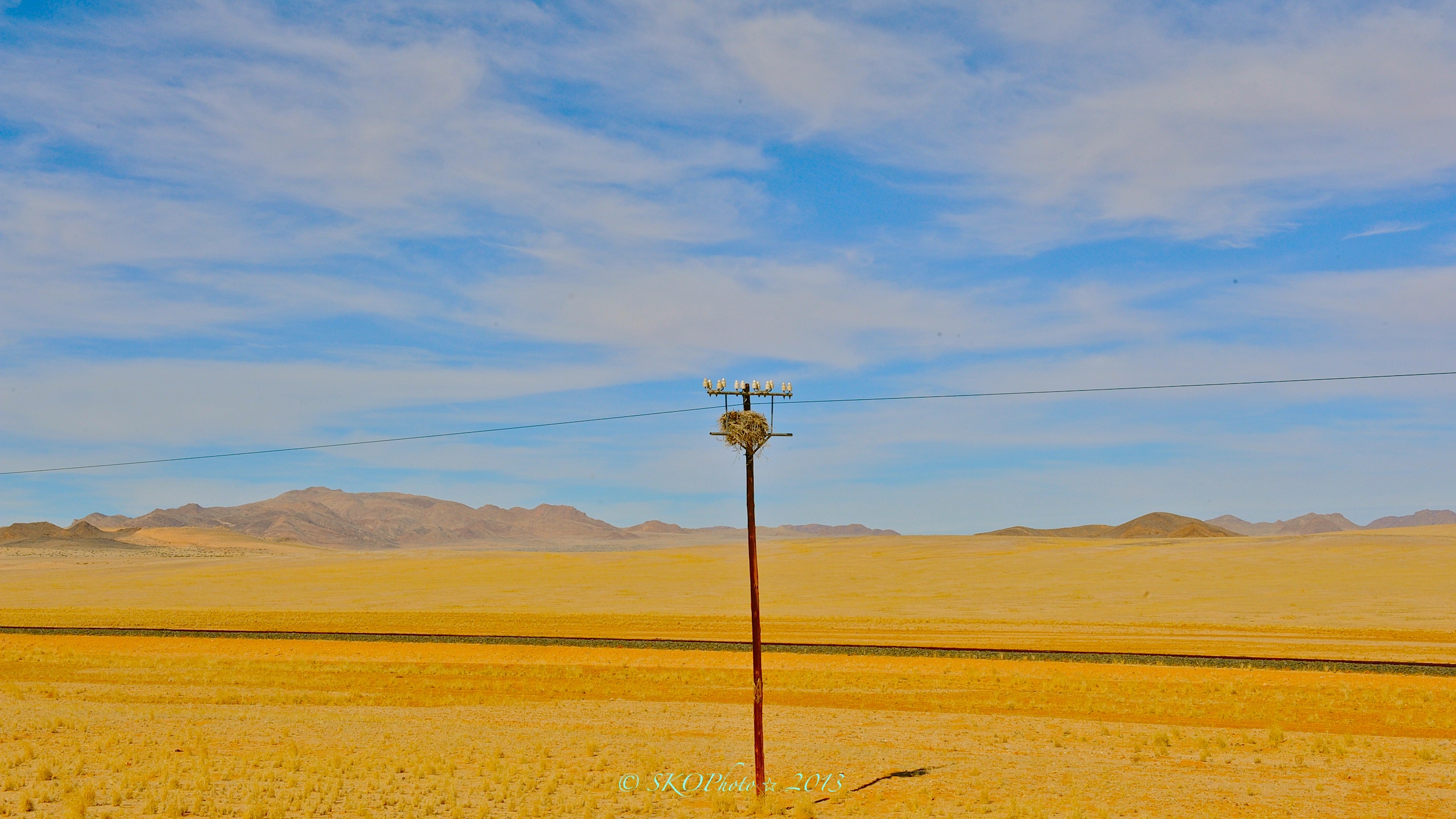 Deserto del namib, se non ci sono gli alberi i nidi si