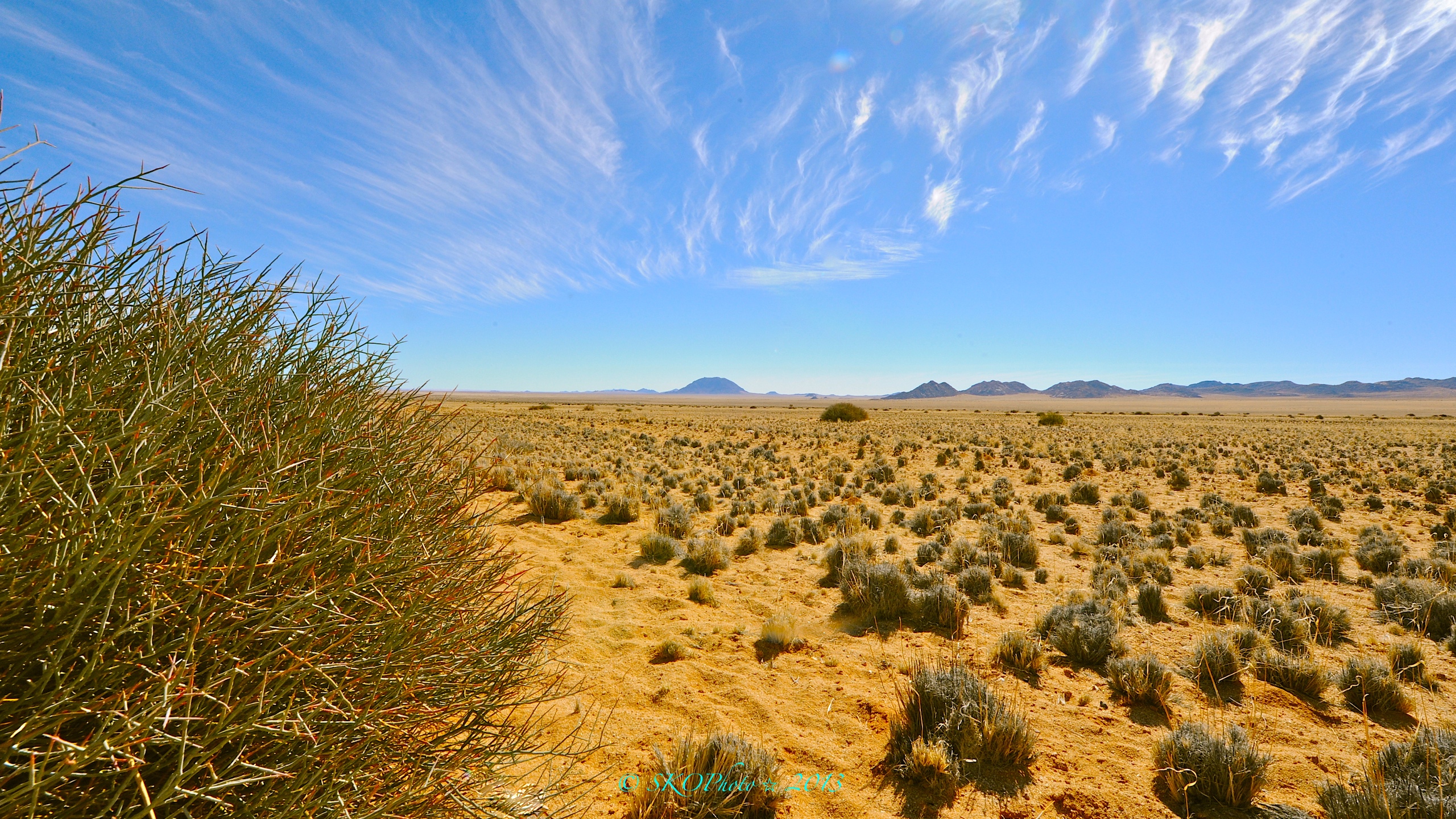 Da Aus a Luderitz - Deserto del Namib