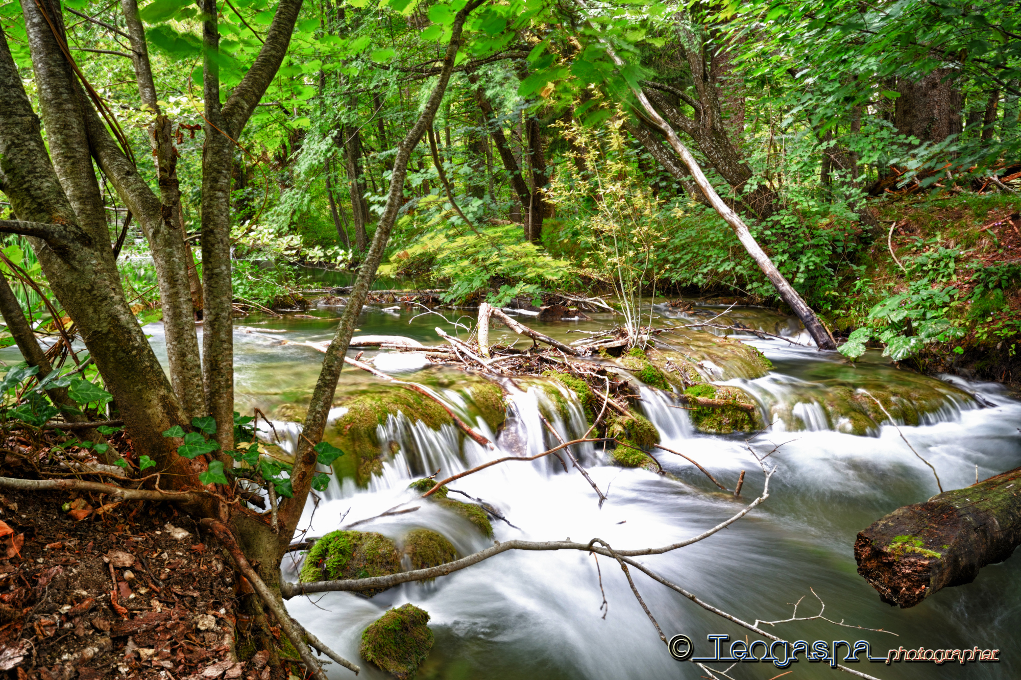 Cascata su fiume - Plitvice