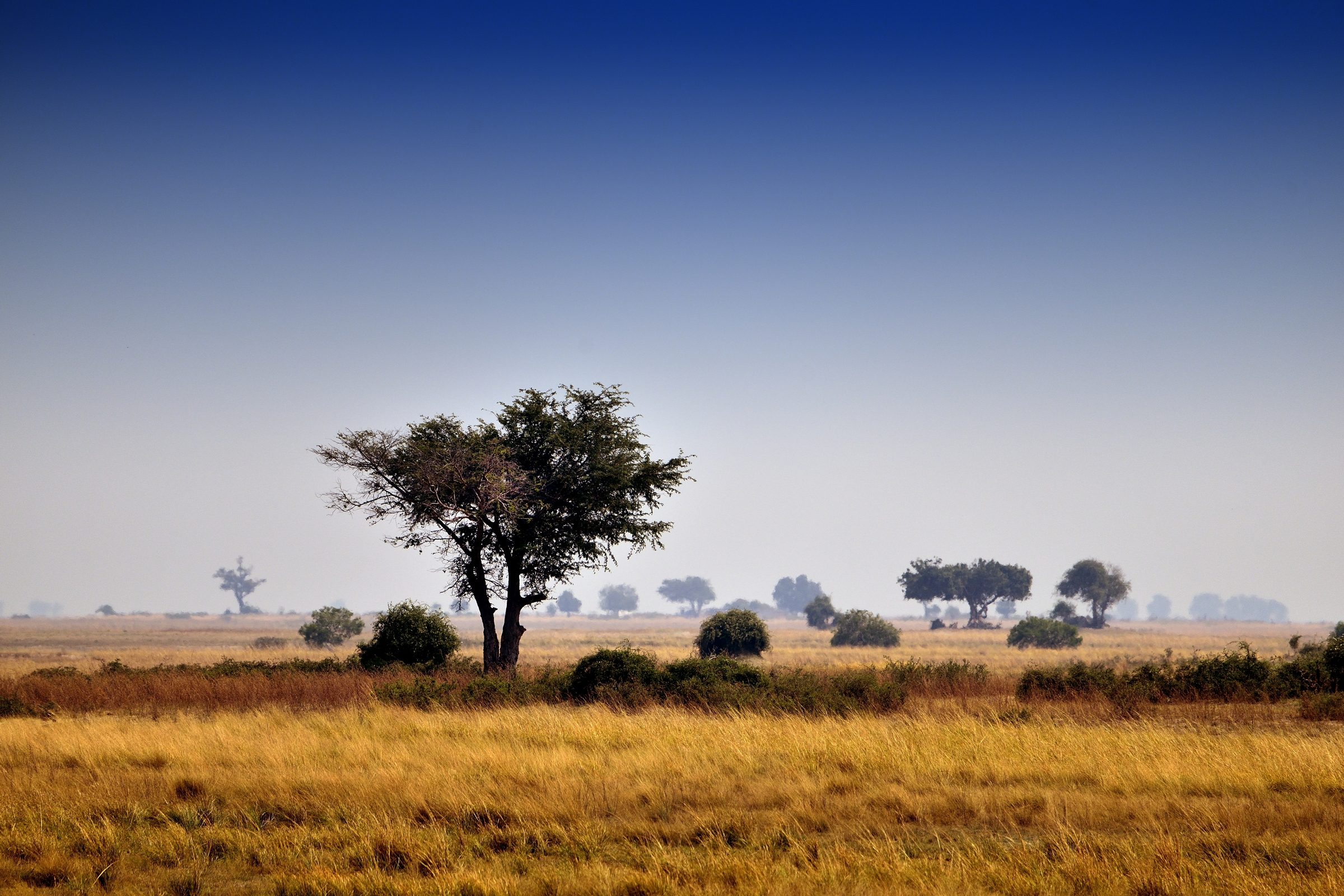 Namibia vista dal Chobe river