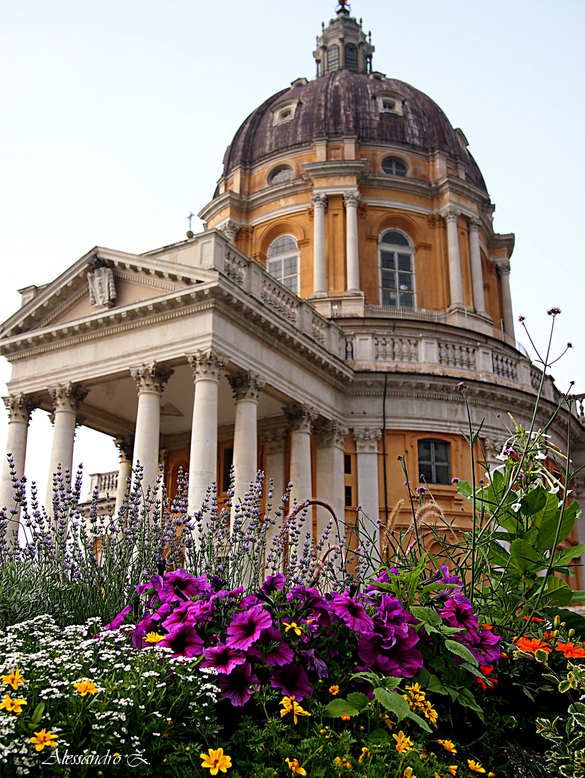 Turin - The Basilica of Superga in bloom