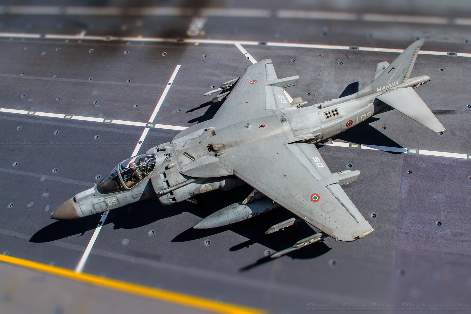Harrier Diorama???