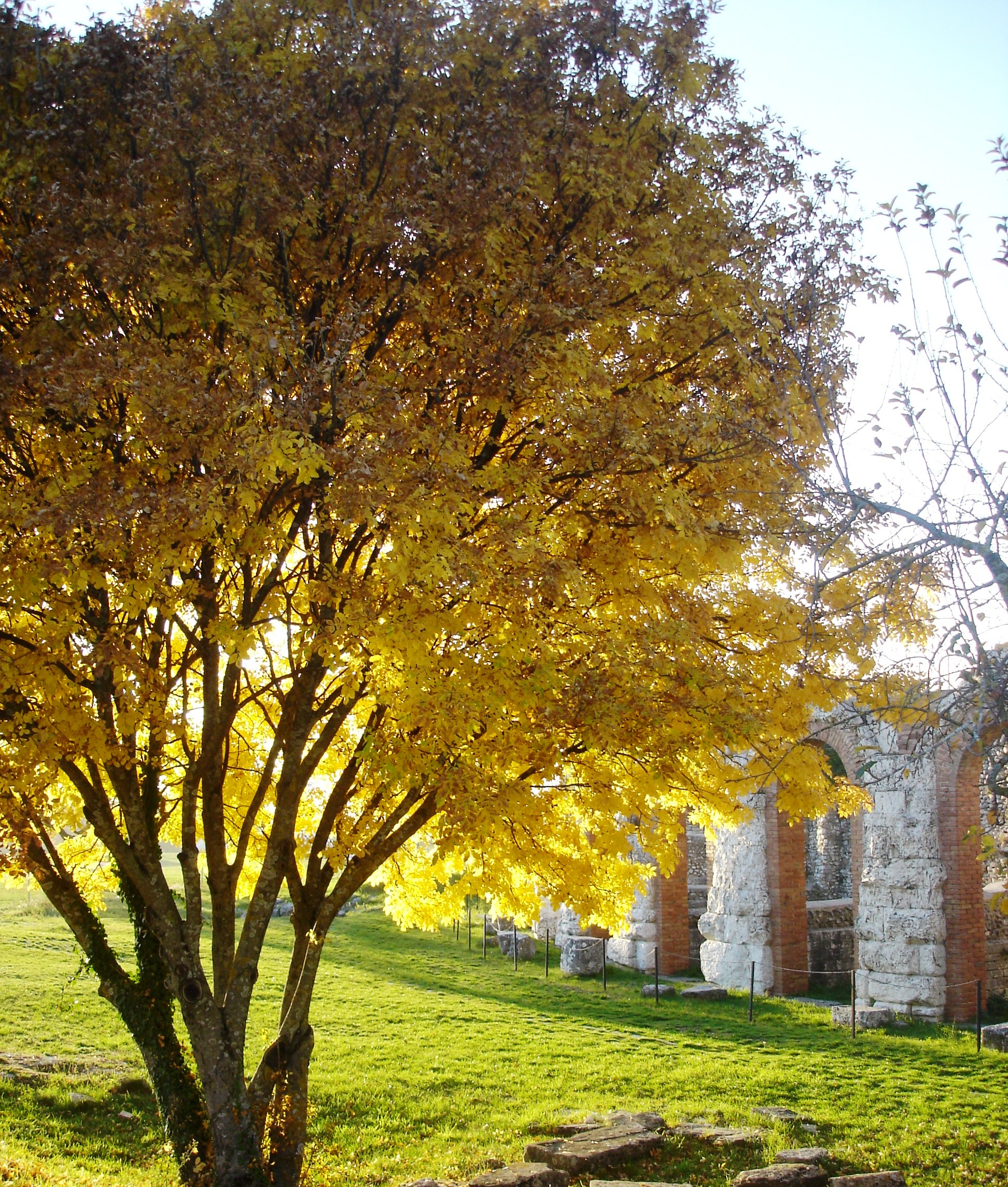 pietre, luce e autunno...