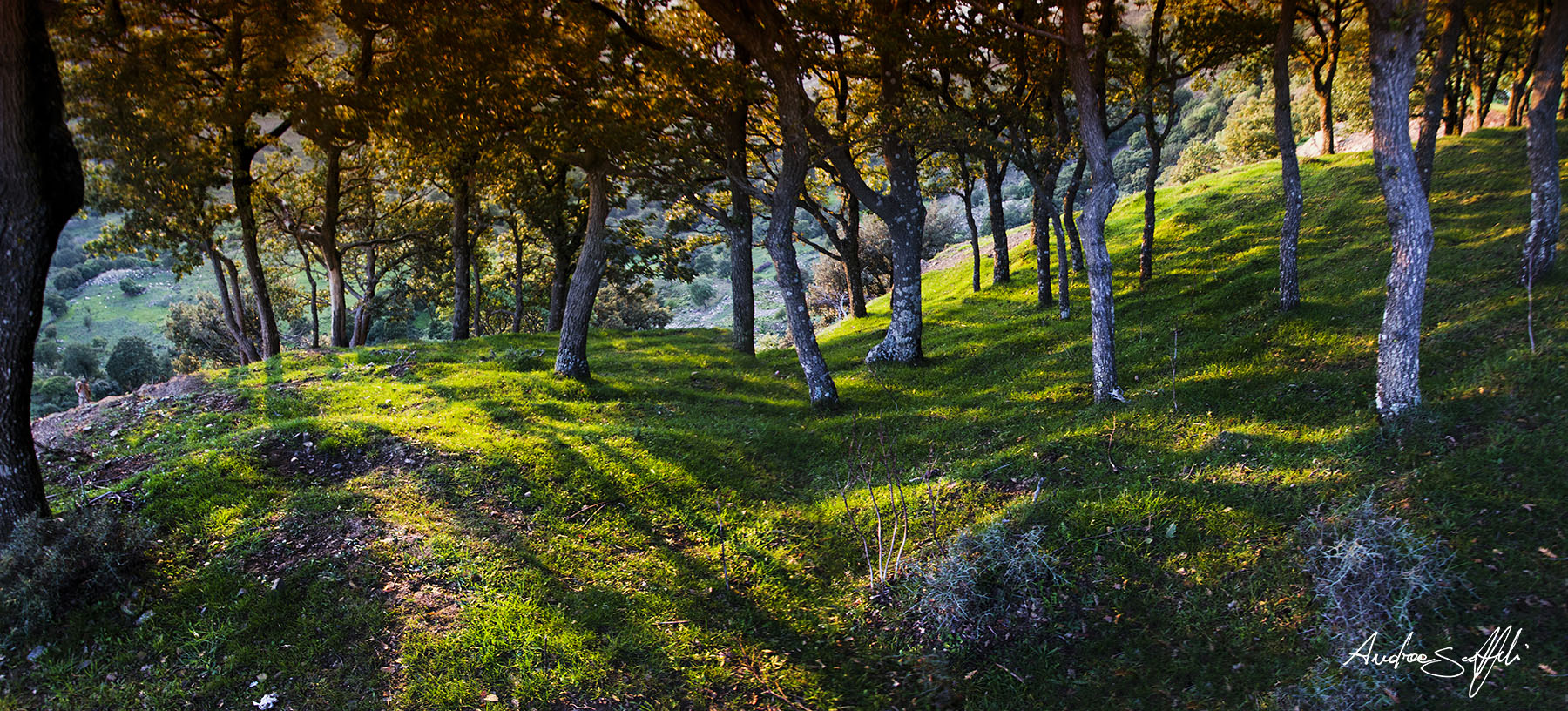 paraaa .. paraa .. paradise!