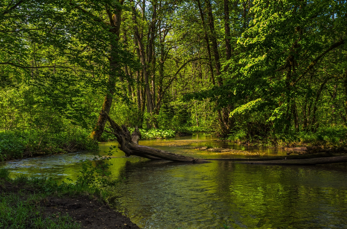 France - Cascade du Hérisson