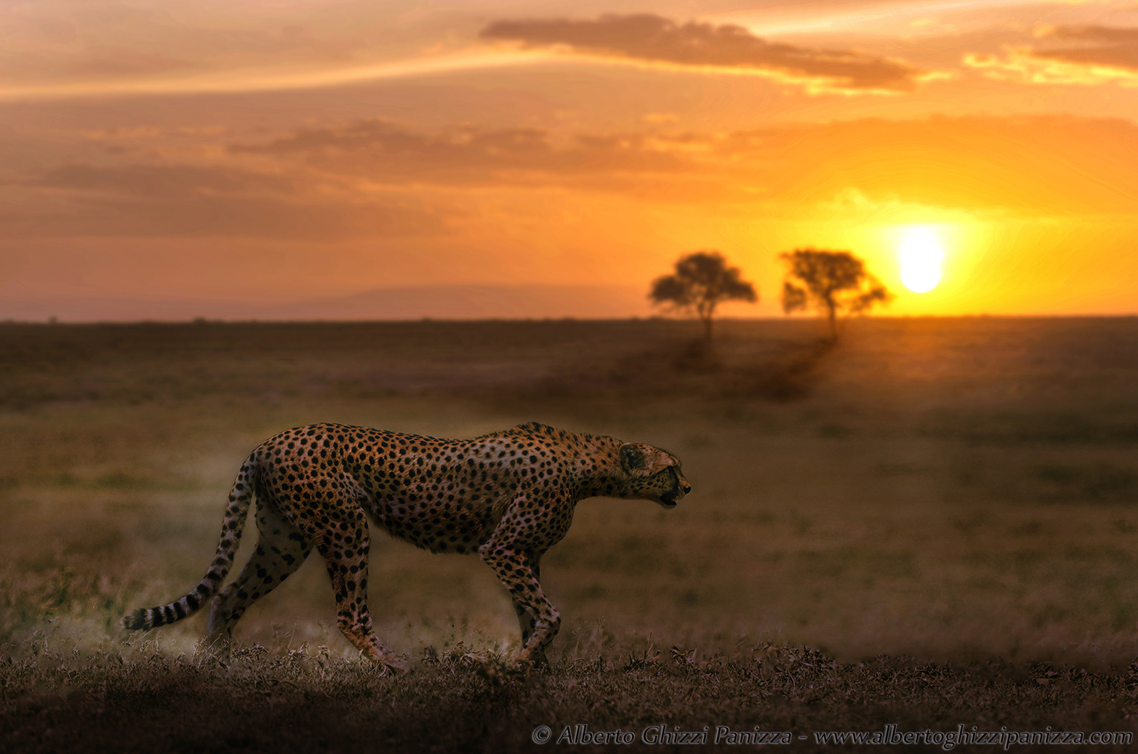 The Step of the Runner