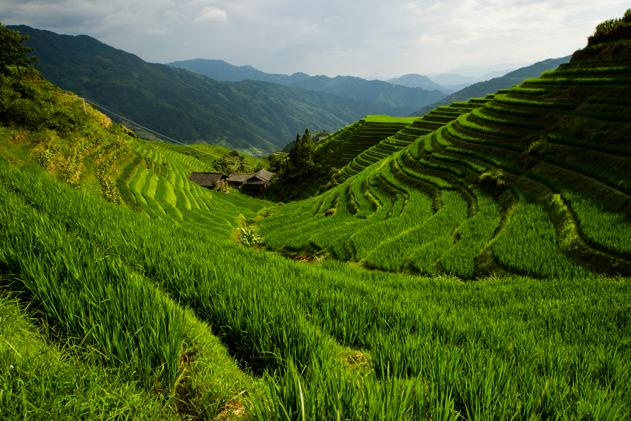 longji terrace - guangxi