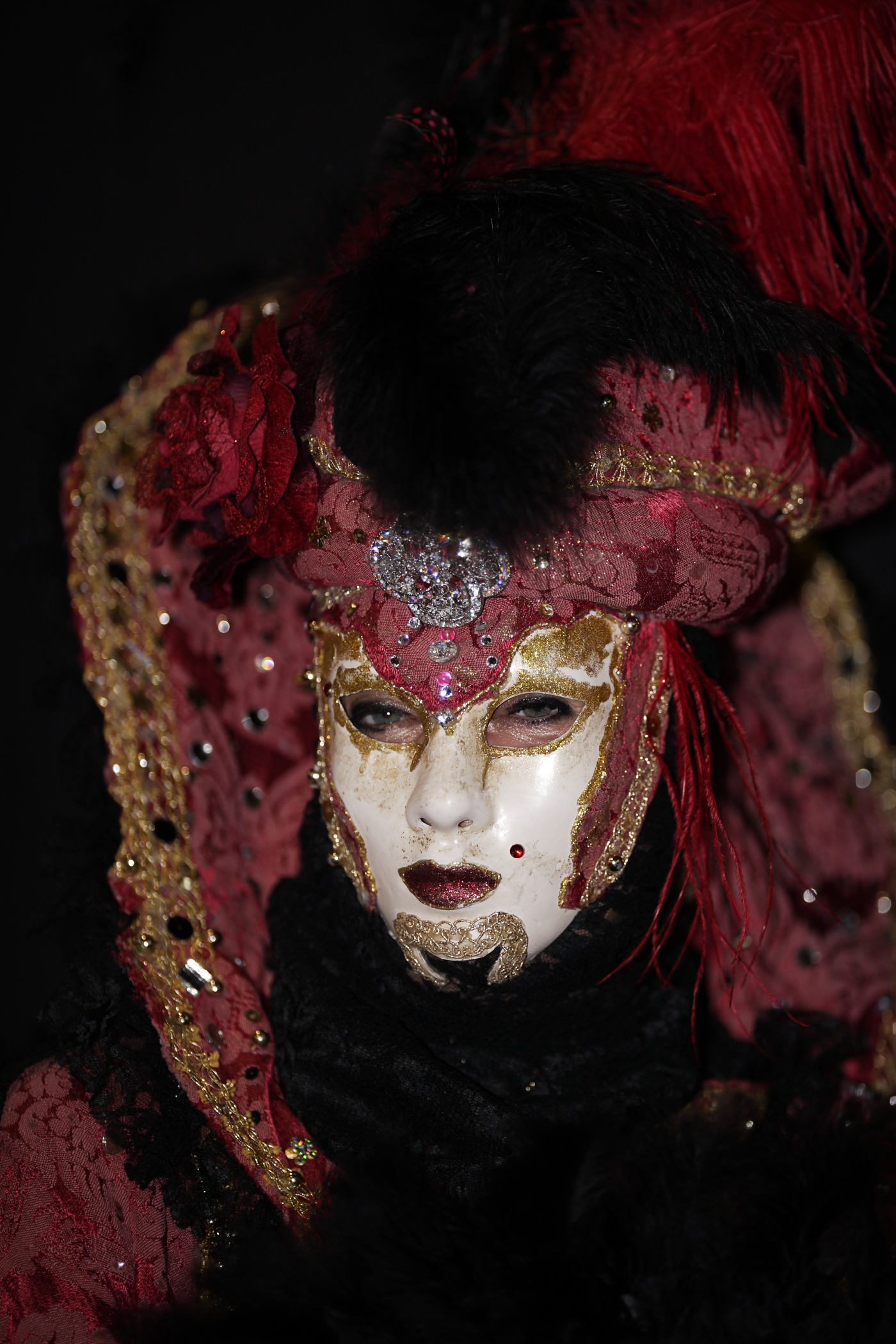 Dia under the stars 2013