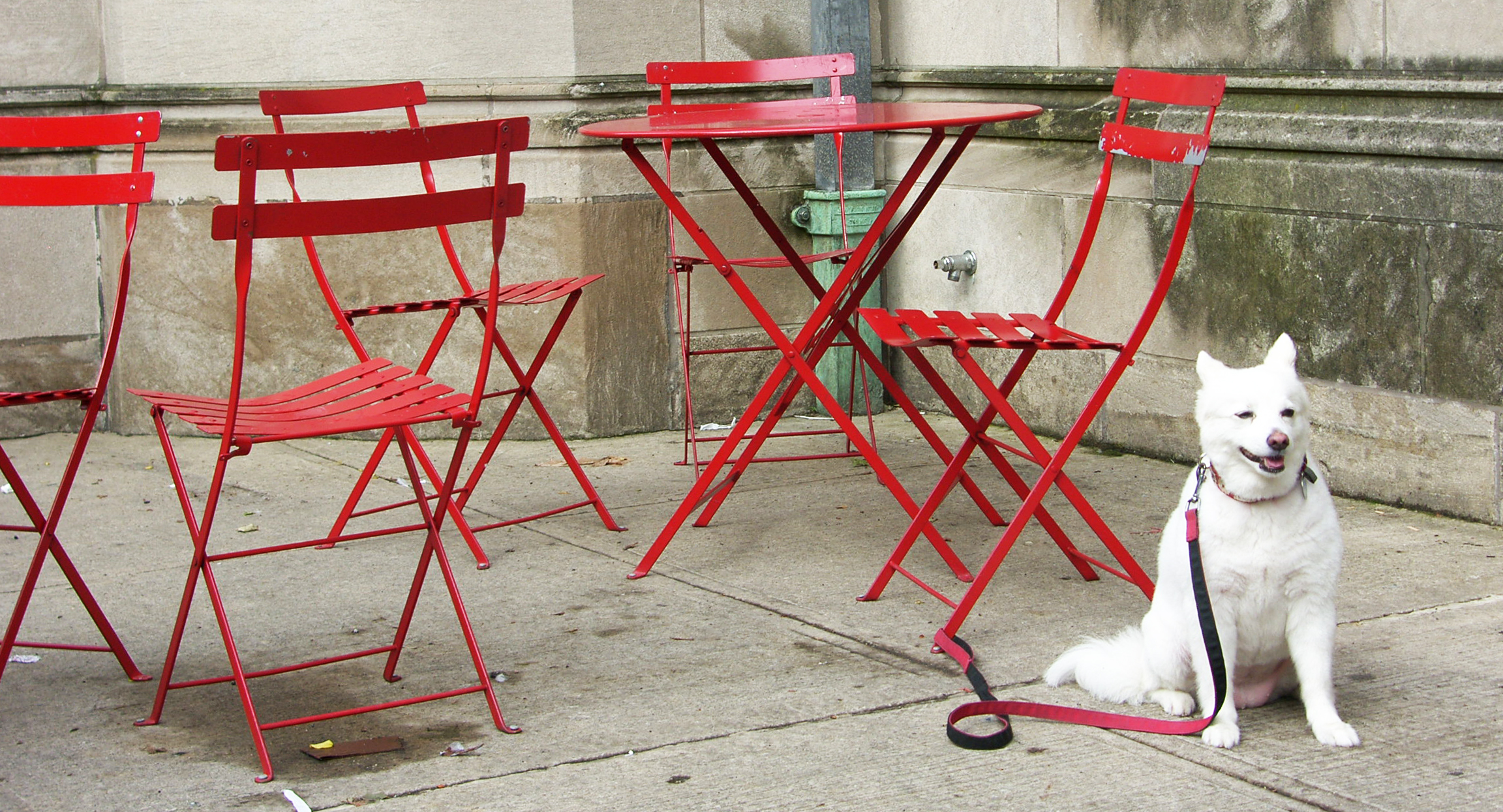 Aspettando il padrone