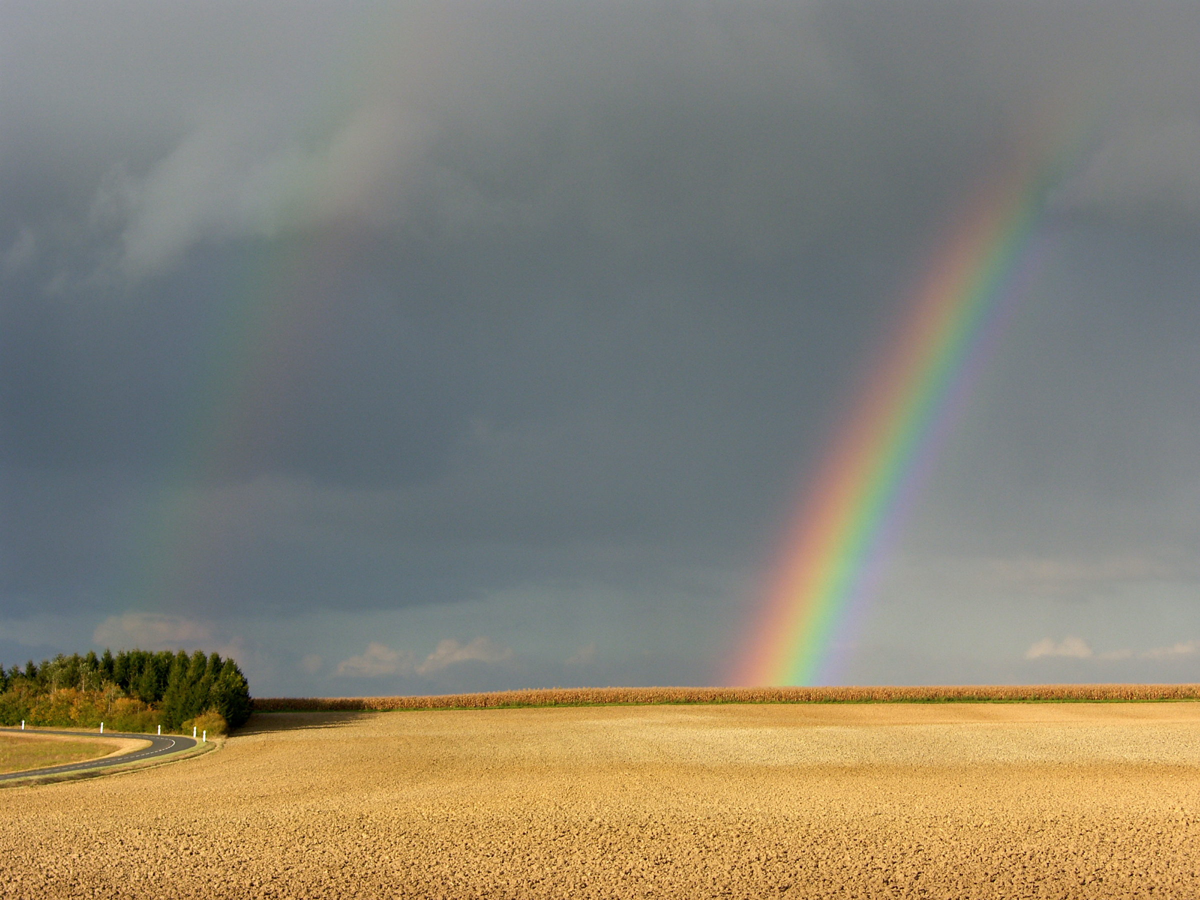 Arcobaleno - Champagne