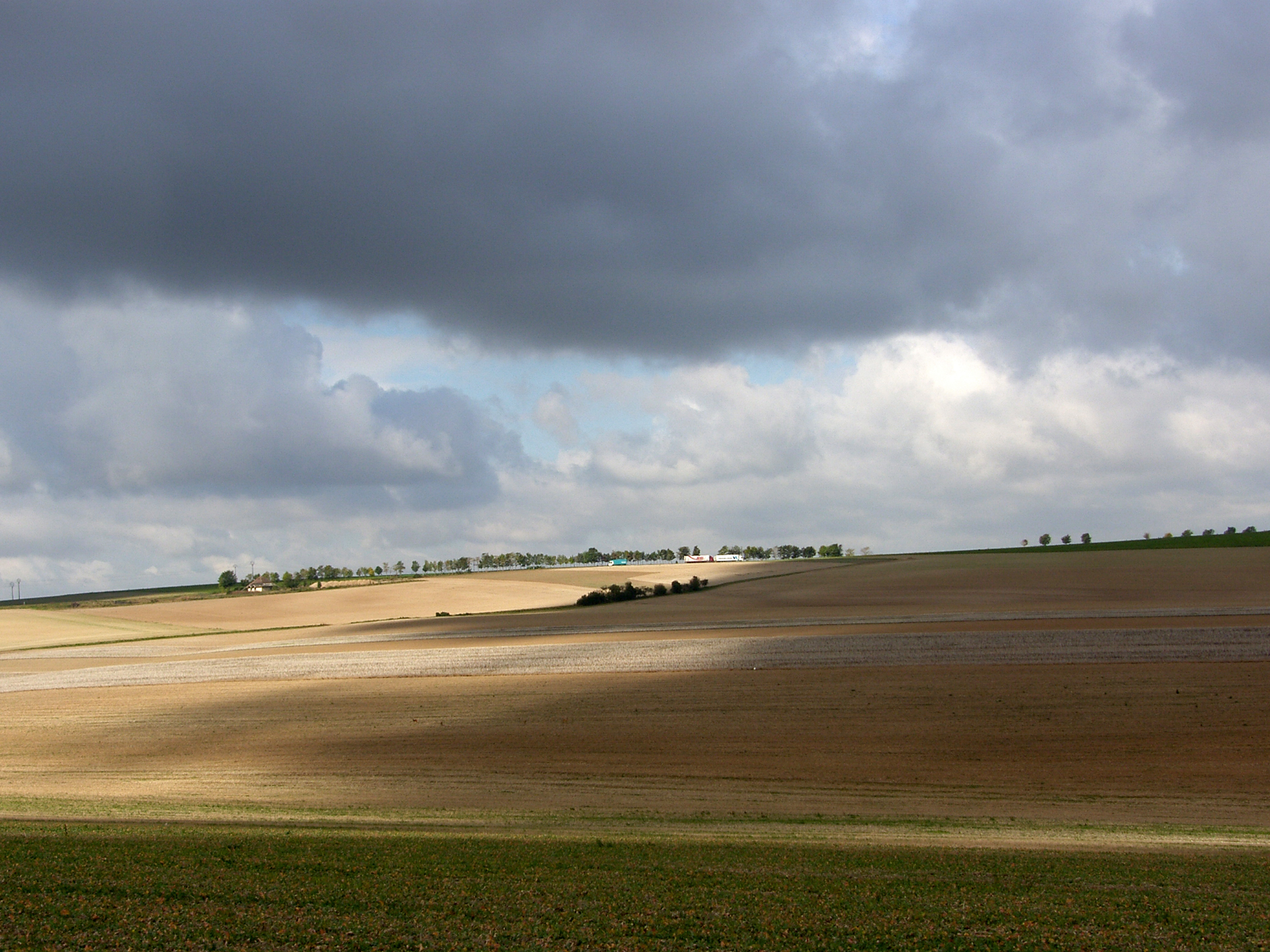 Ocra gialla - Champagne