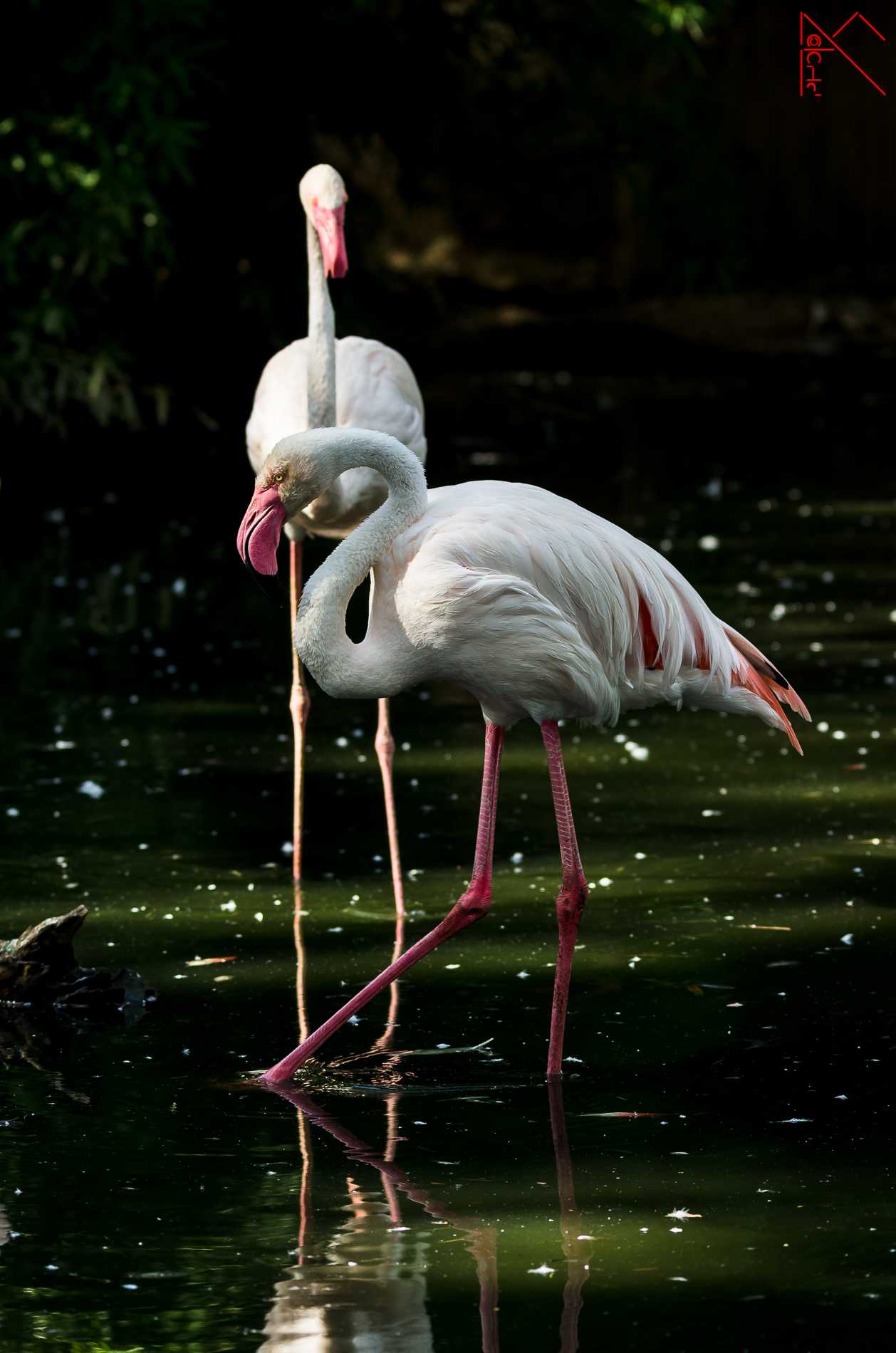 Changing of the guard