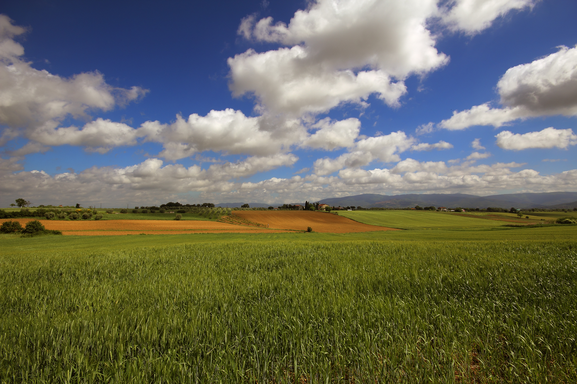 tuscany countryside