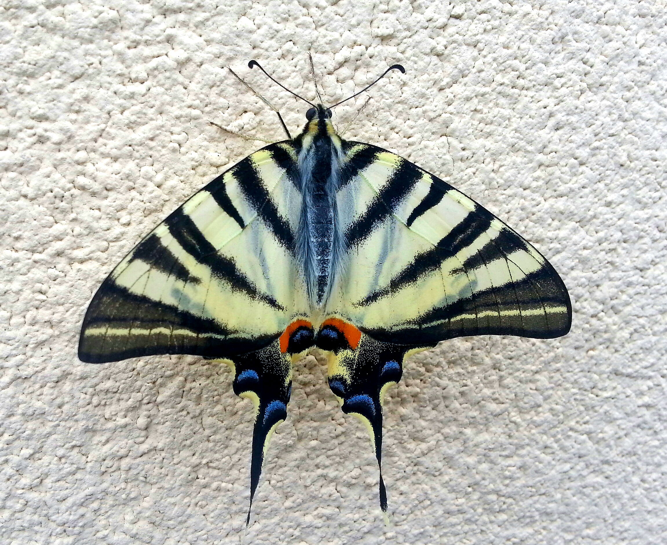 An unexpected meeting