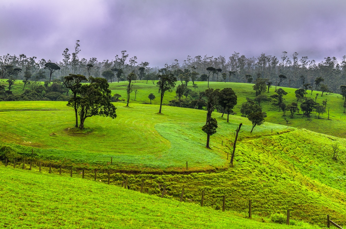 Sri Lanka - Little New Zealand near Nuwara Eliya