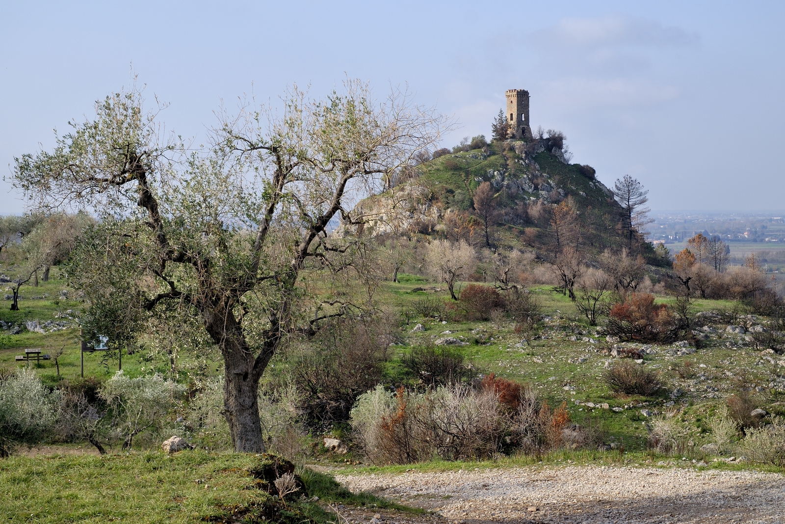 Torre degli Upezzinghi
