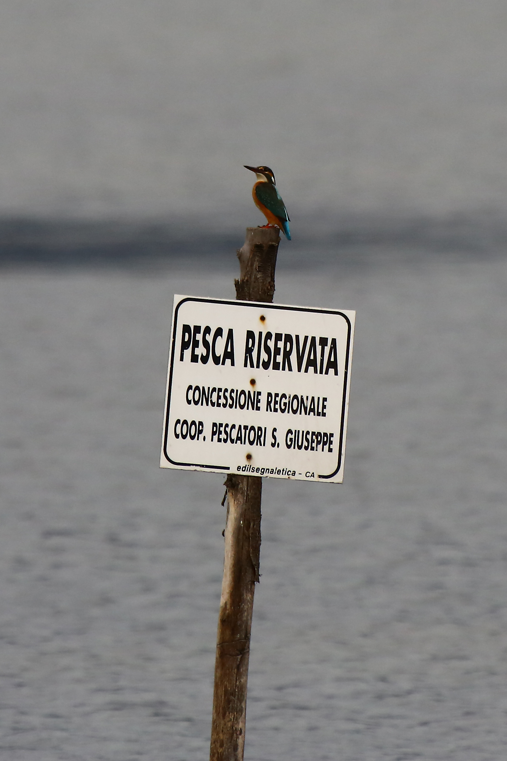 Riserva di pesca