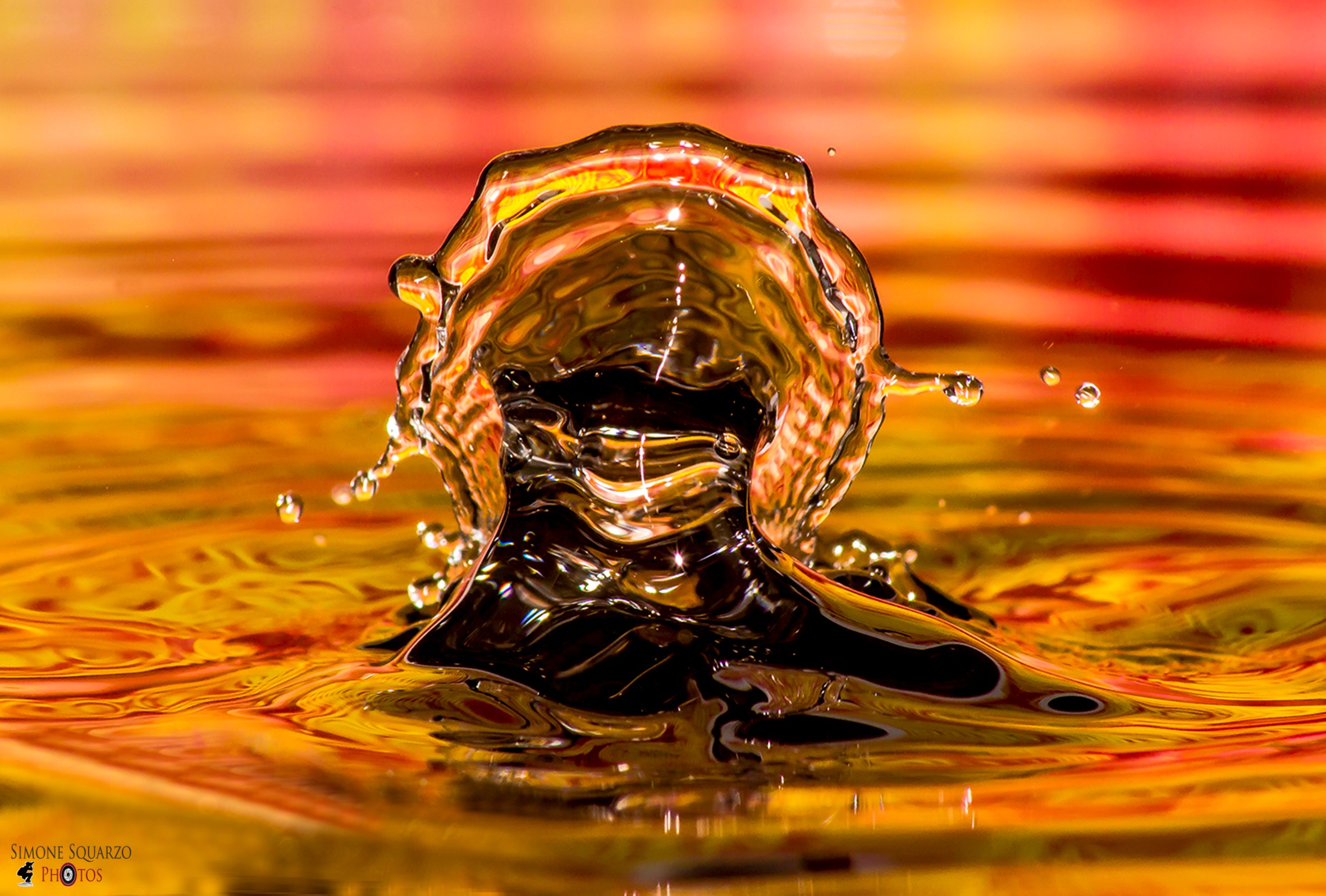 Explosion of Autumn Colors