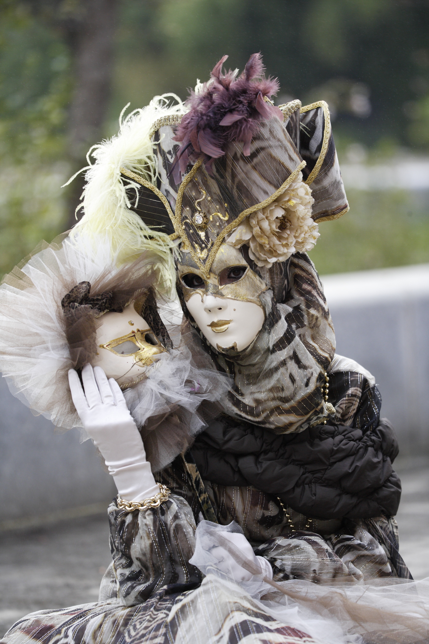 Dia under the stars 2013