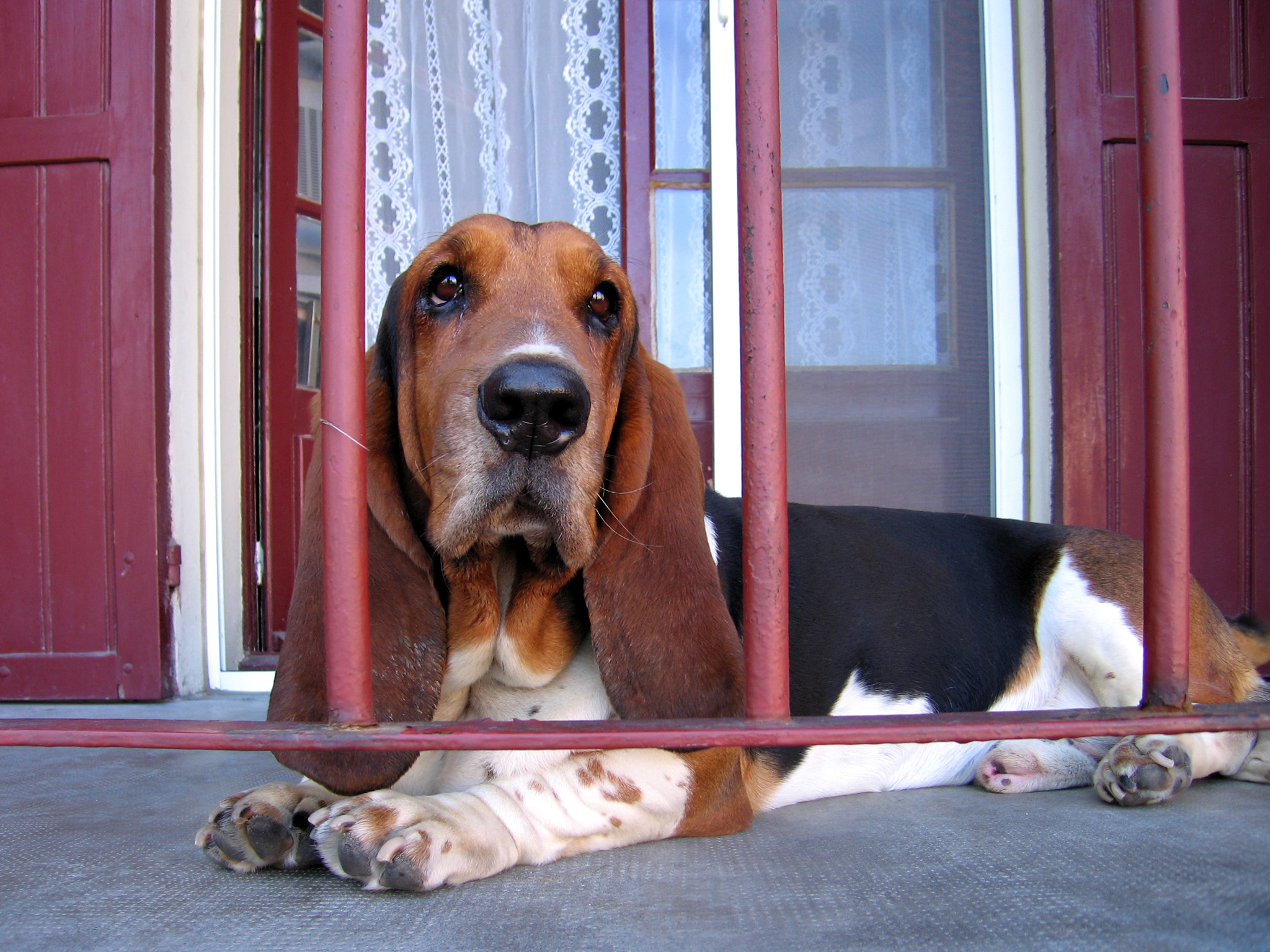 Dietro le sbarre - Provenza