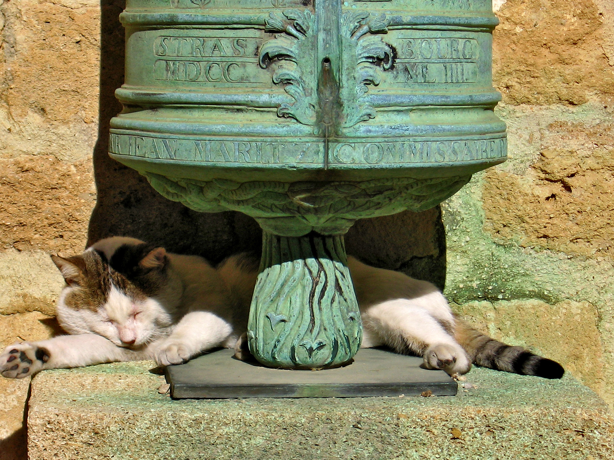 All'ombra del cannone - Provenza