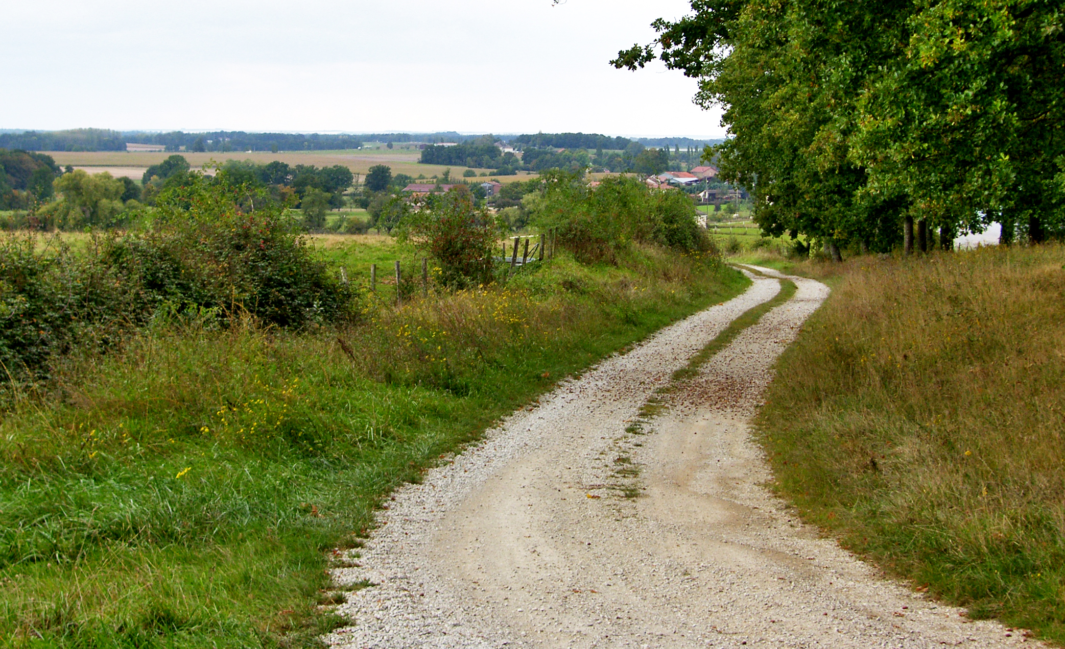 Il viottolo - Provenza