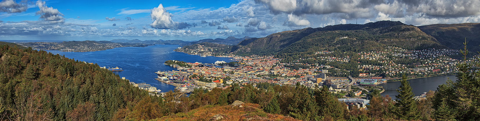 panoramica a Bergen