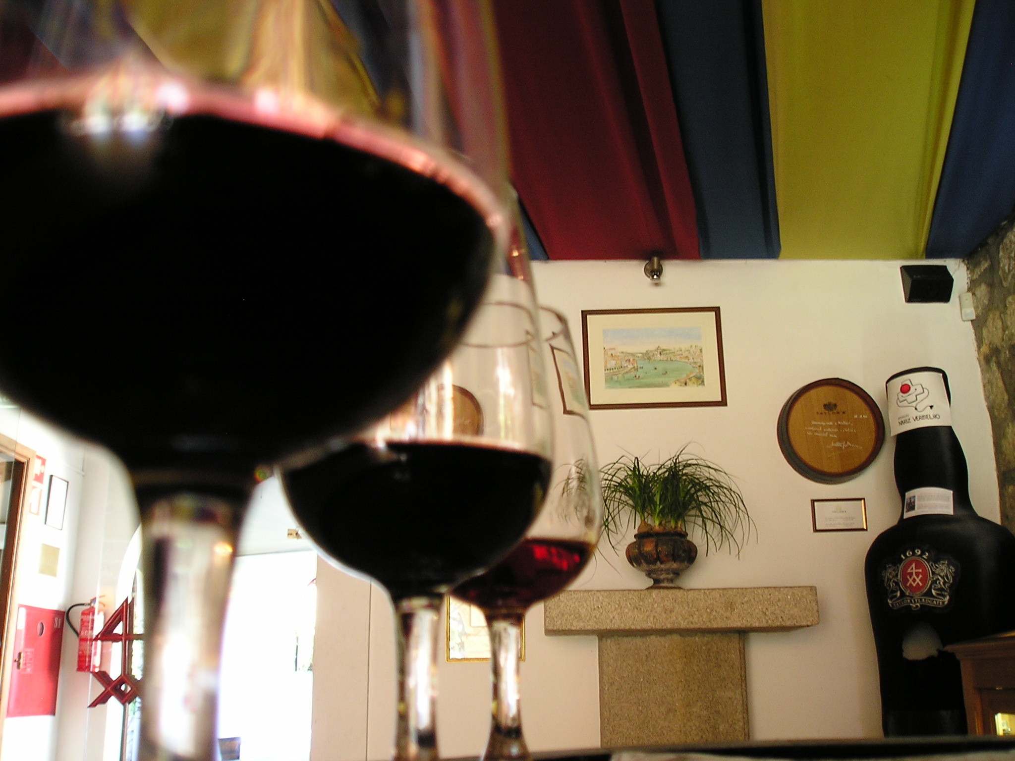 Three friends at the bar. Vila Nova de Gaia (Oporto), Portug...