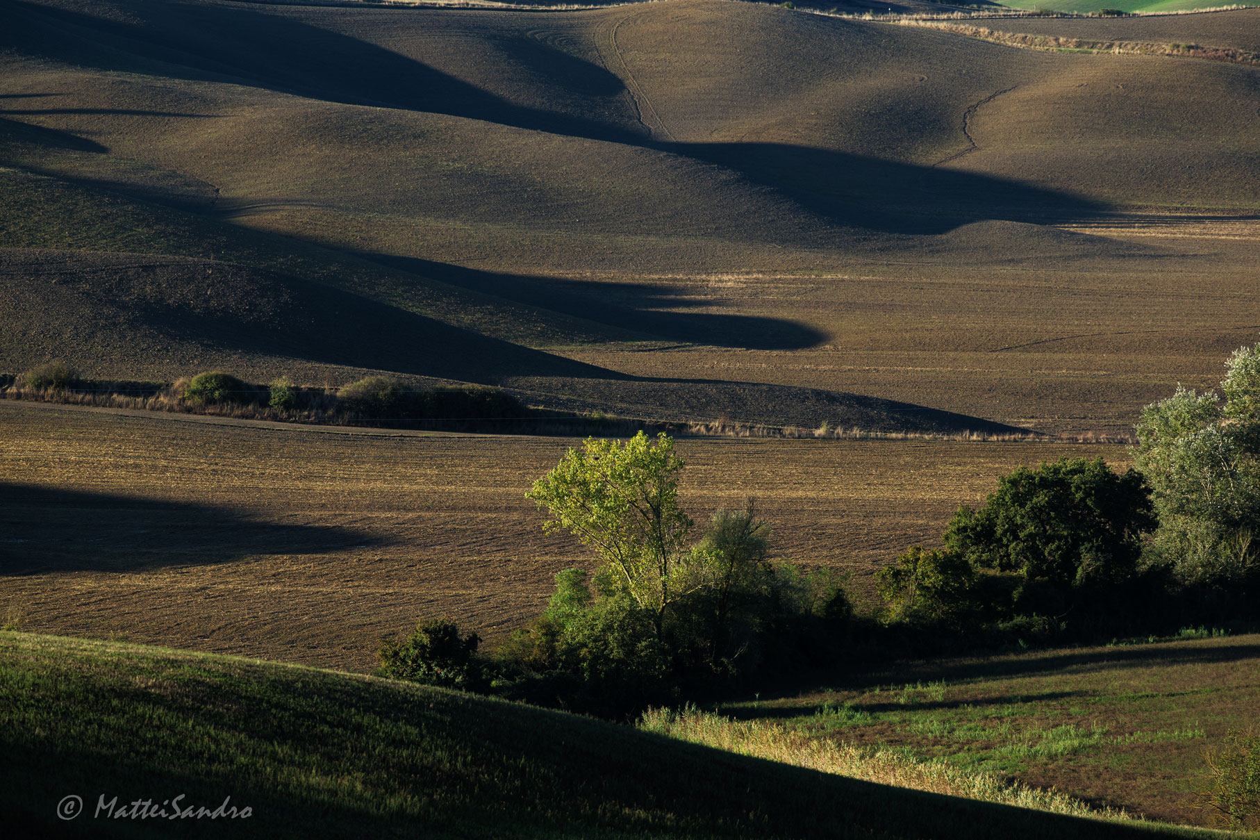 ombre tra le crete senesi