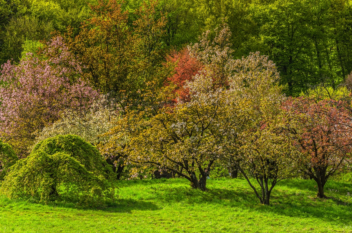 Beautiful Nature - I love you