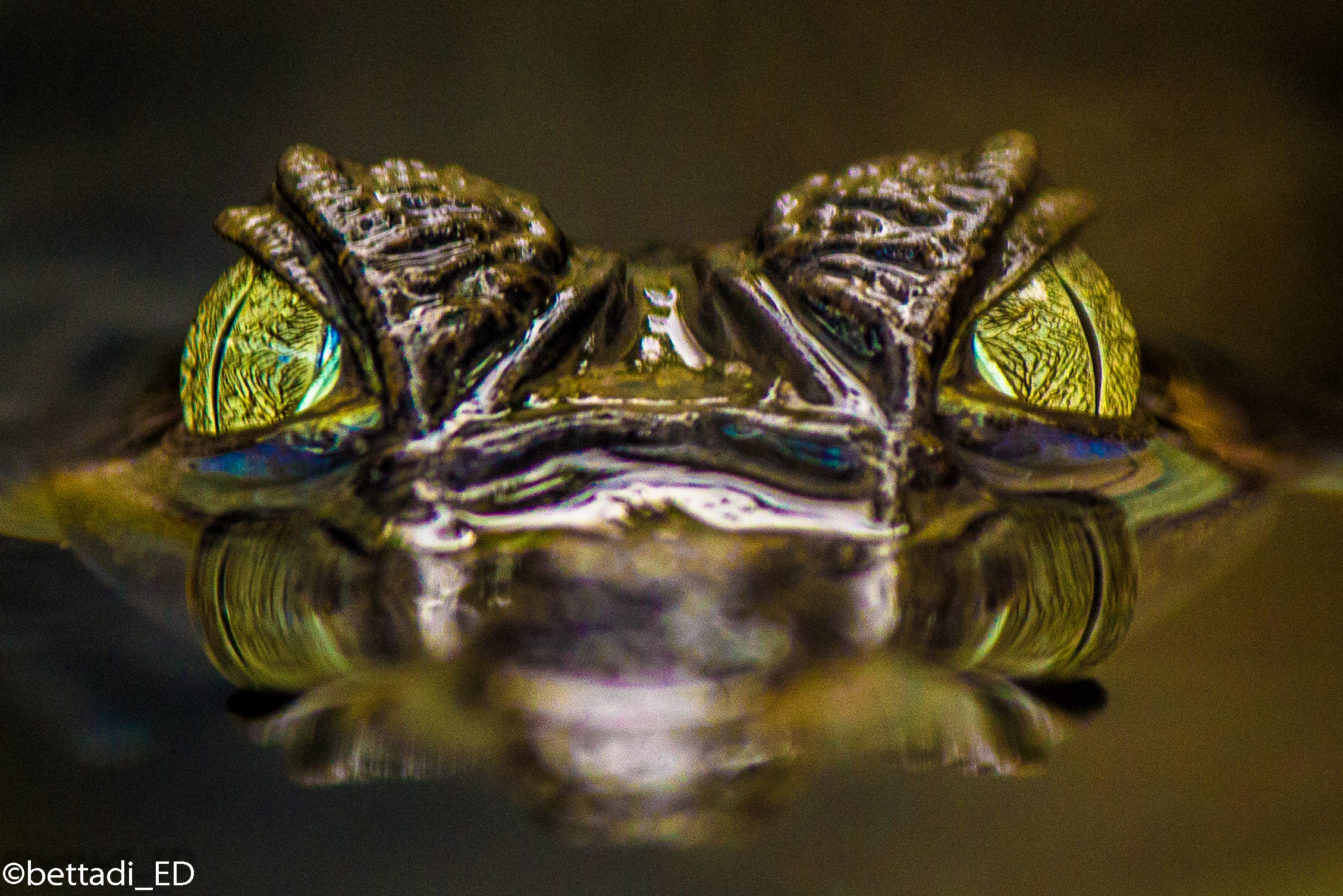 Cayman through my eyes