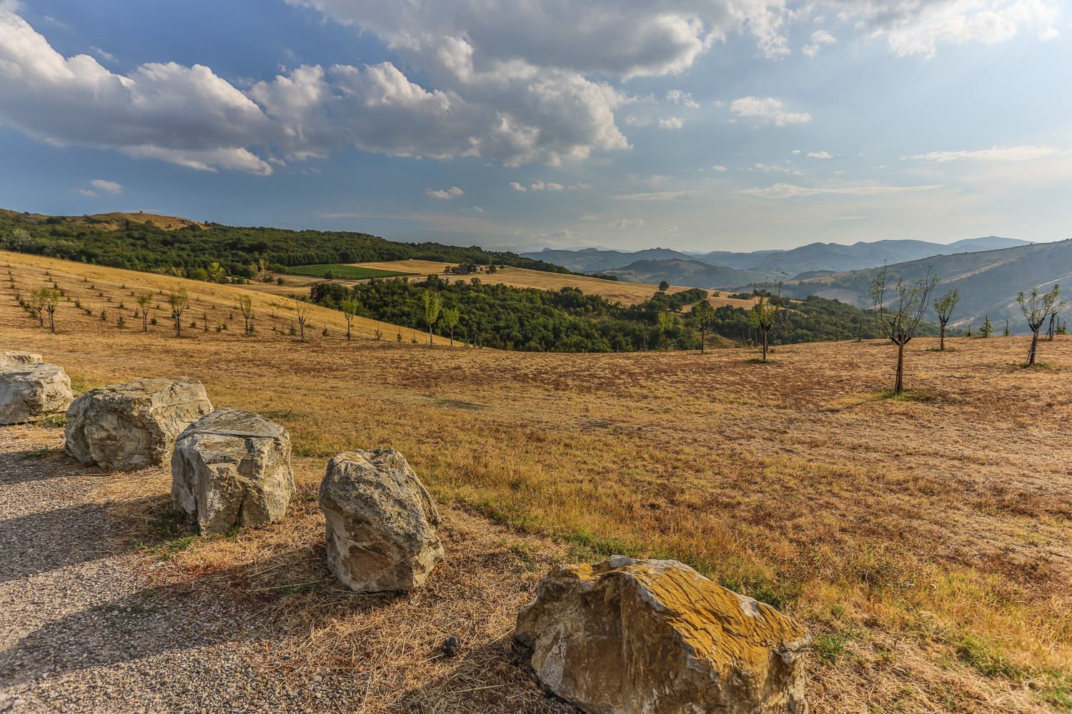 Scandiano Hills / Pianderna