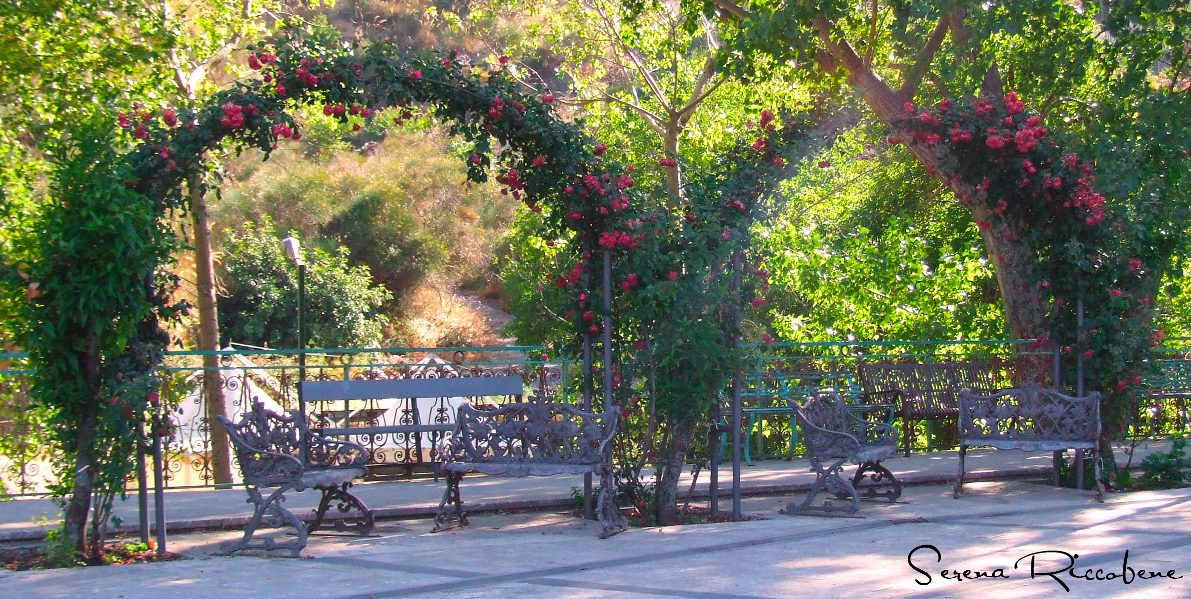 Archi fioriti - Mongiuffi Melia (me)