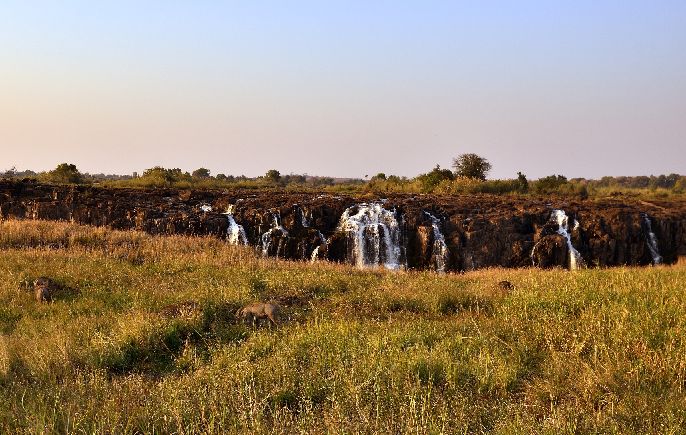 Zimbawue - Victoria falls con facoceri