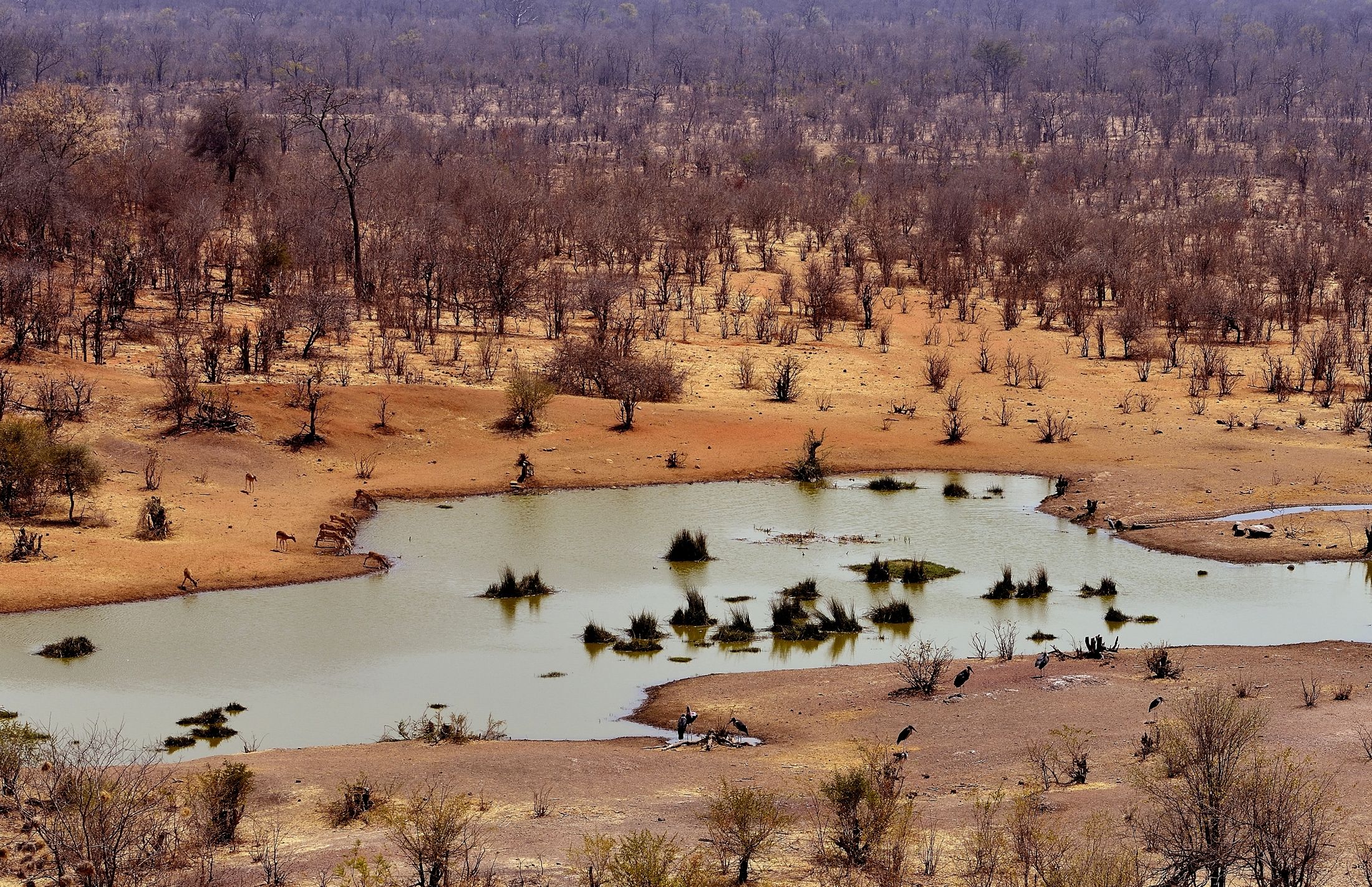 Zimbawue - Victoria falls -pozza