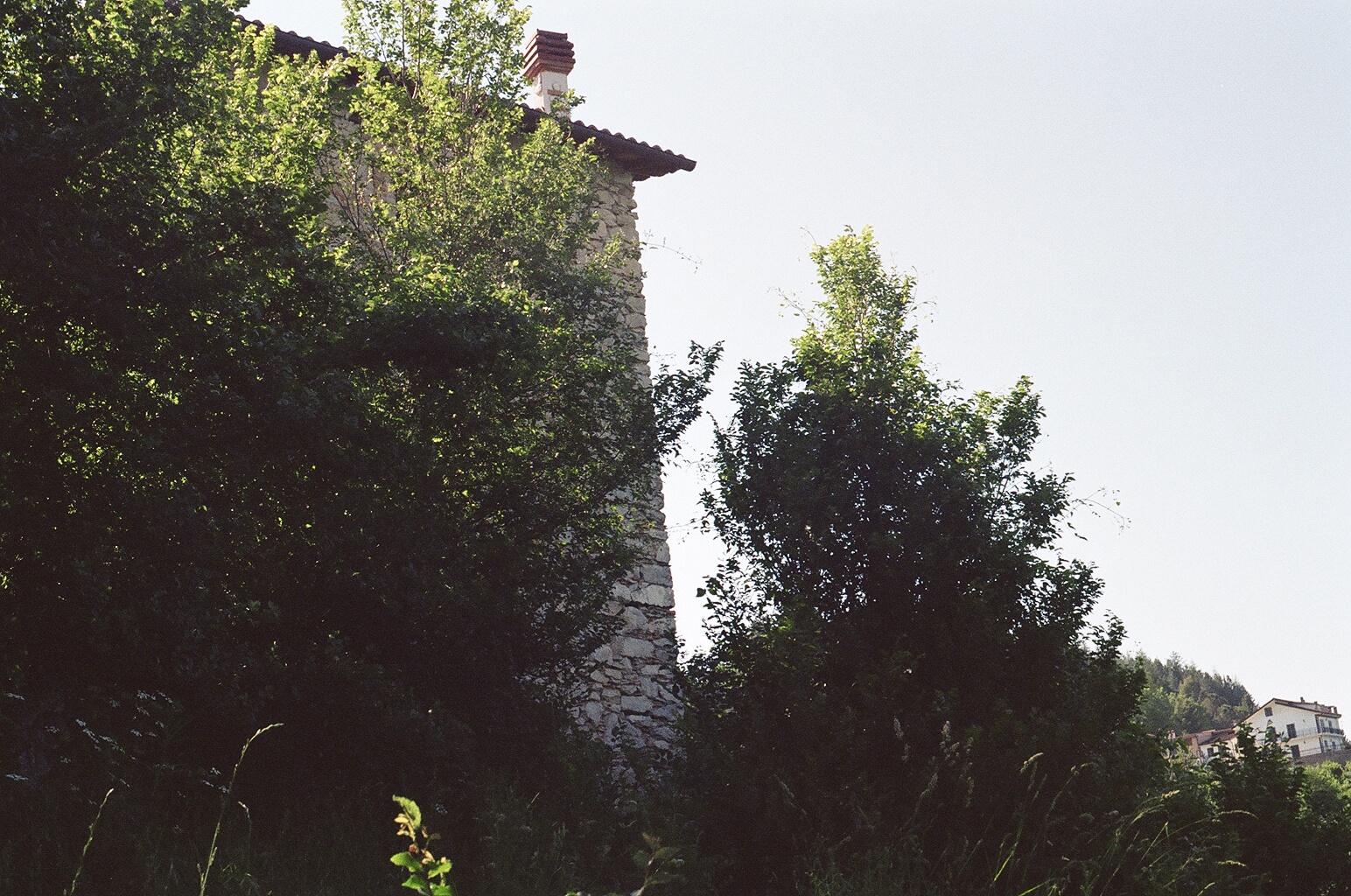 La natura vince sempre