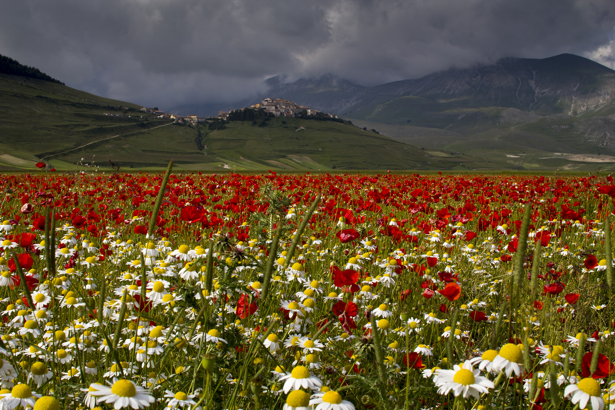 Time of Castelluccio