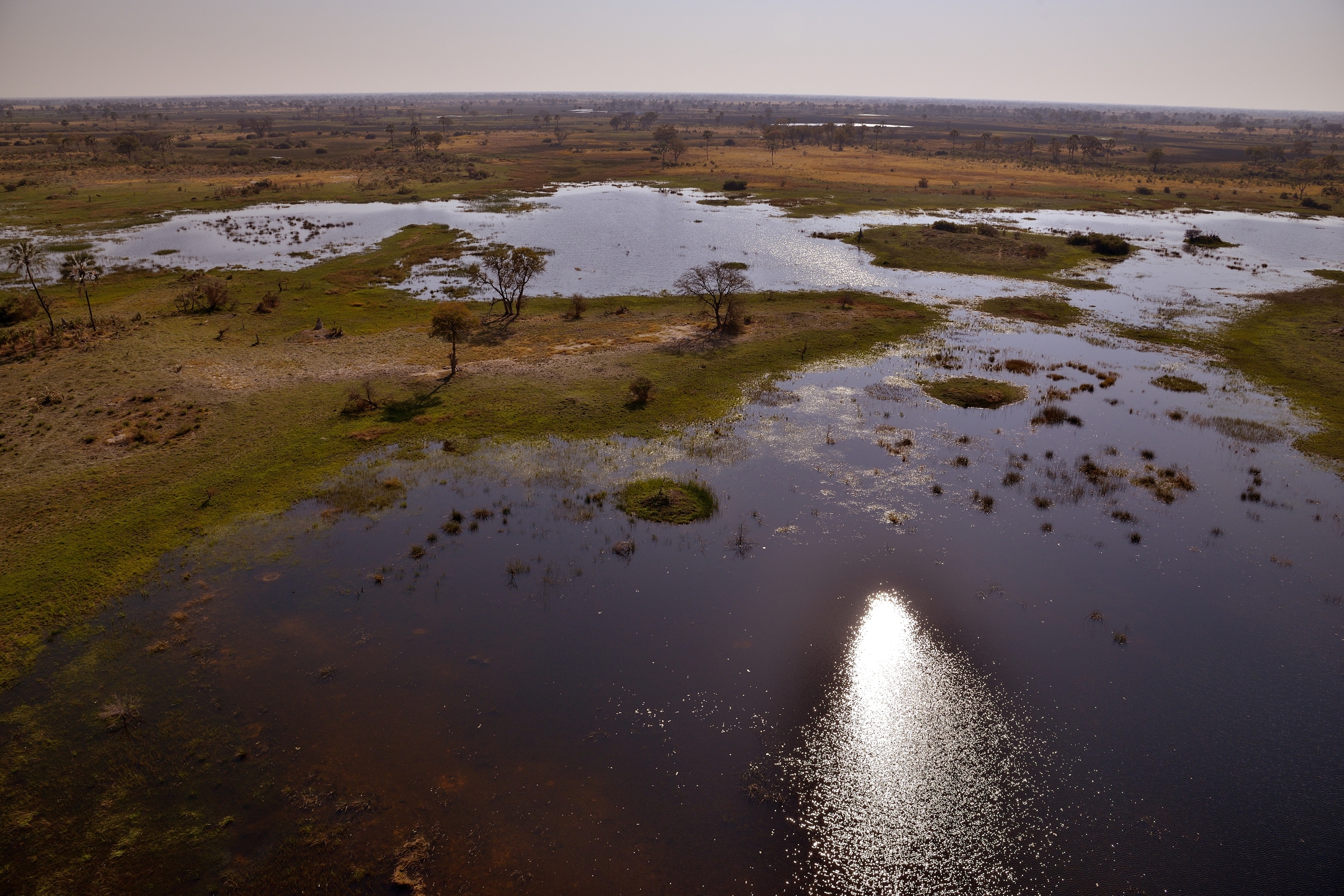 Delta dell'Okavango