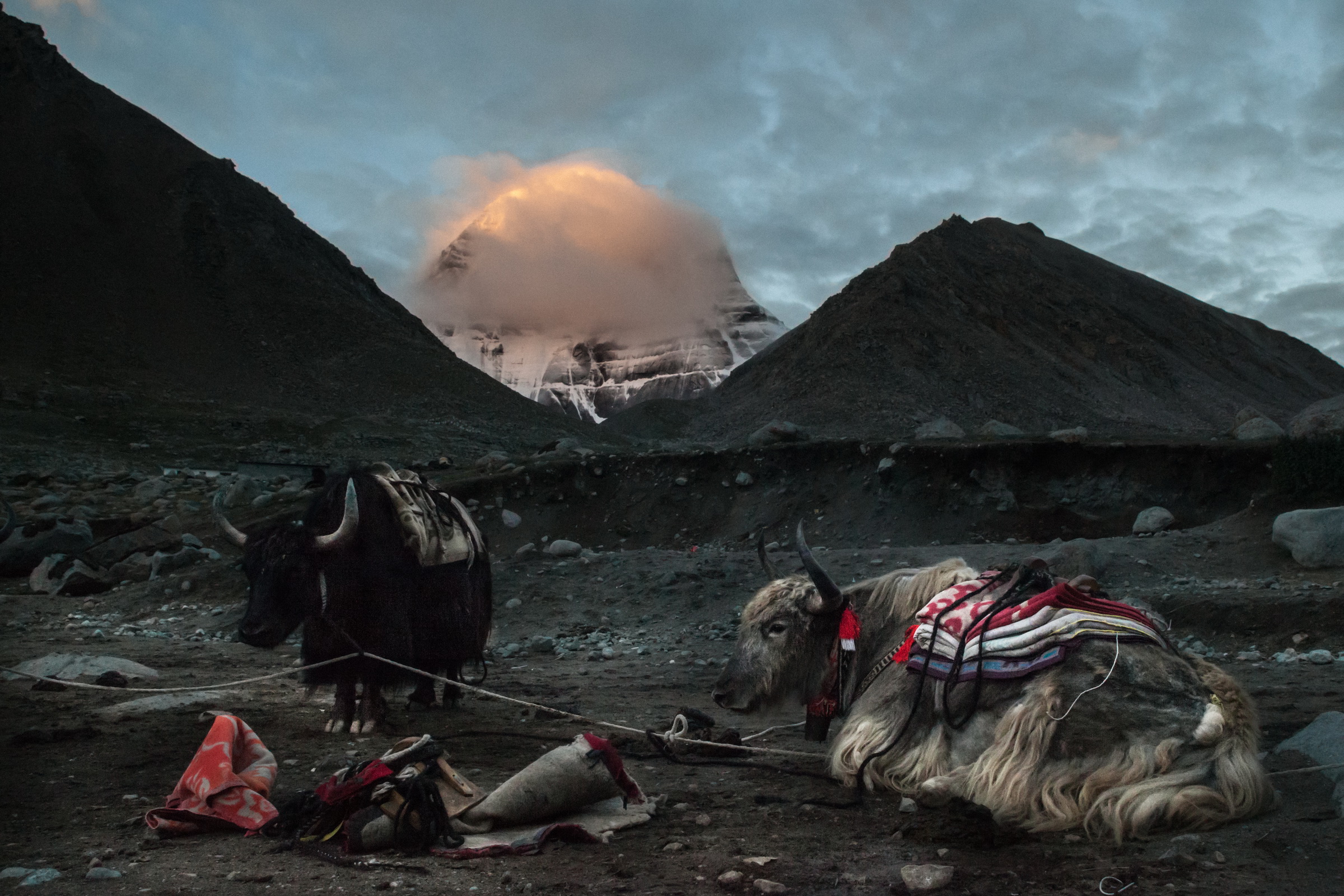 La porta per il Nirvana