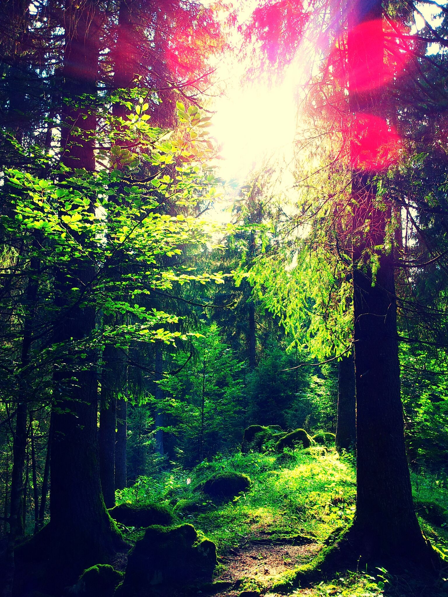 in the peace of the green