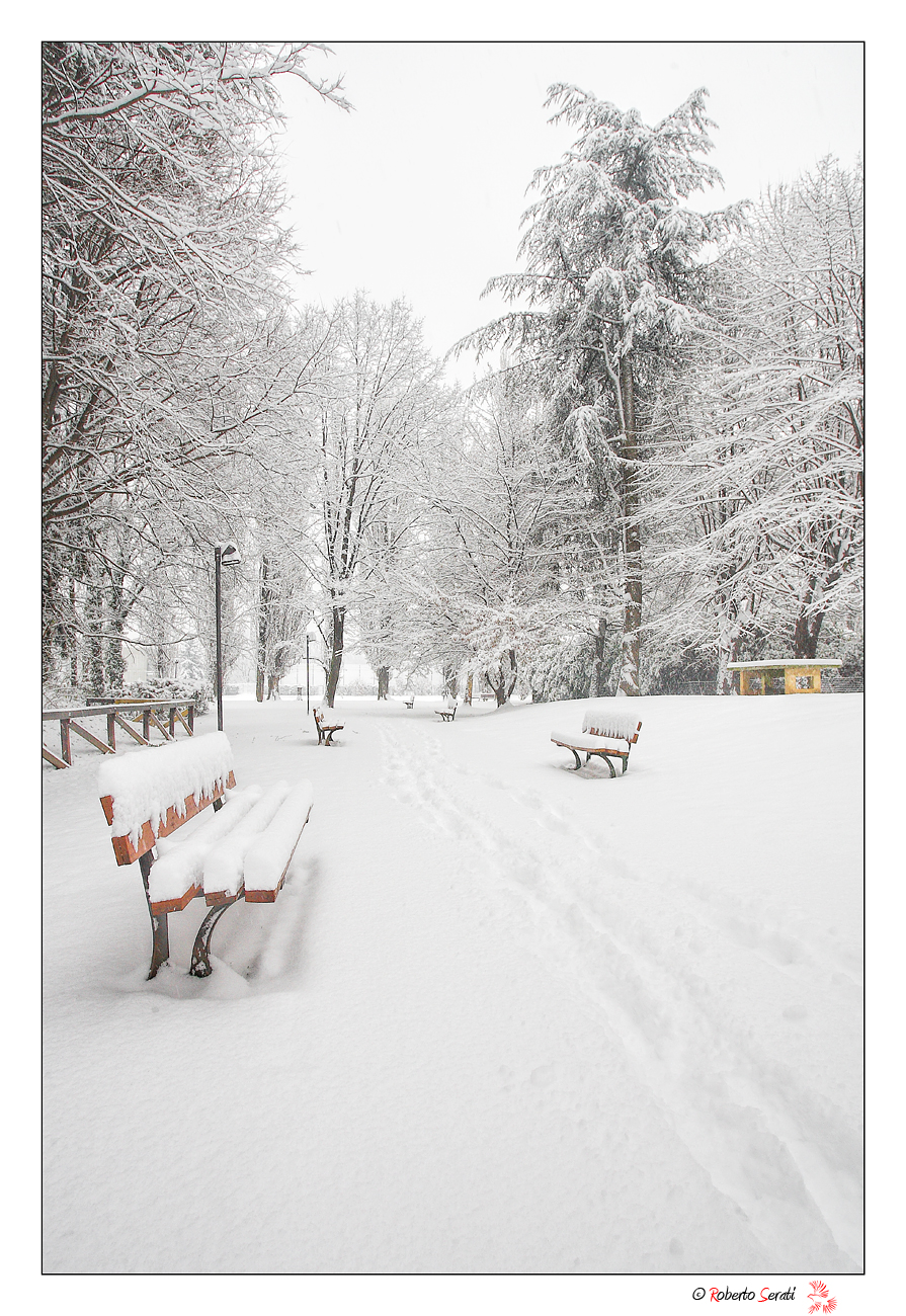 Snow in the park